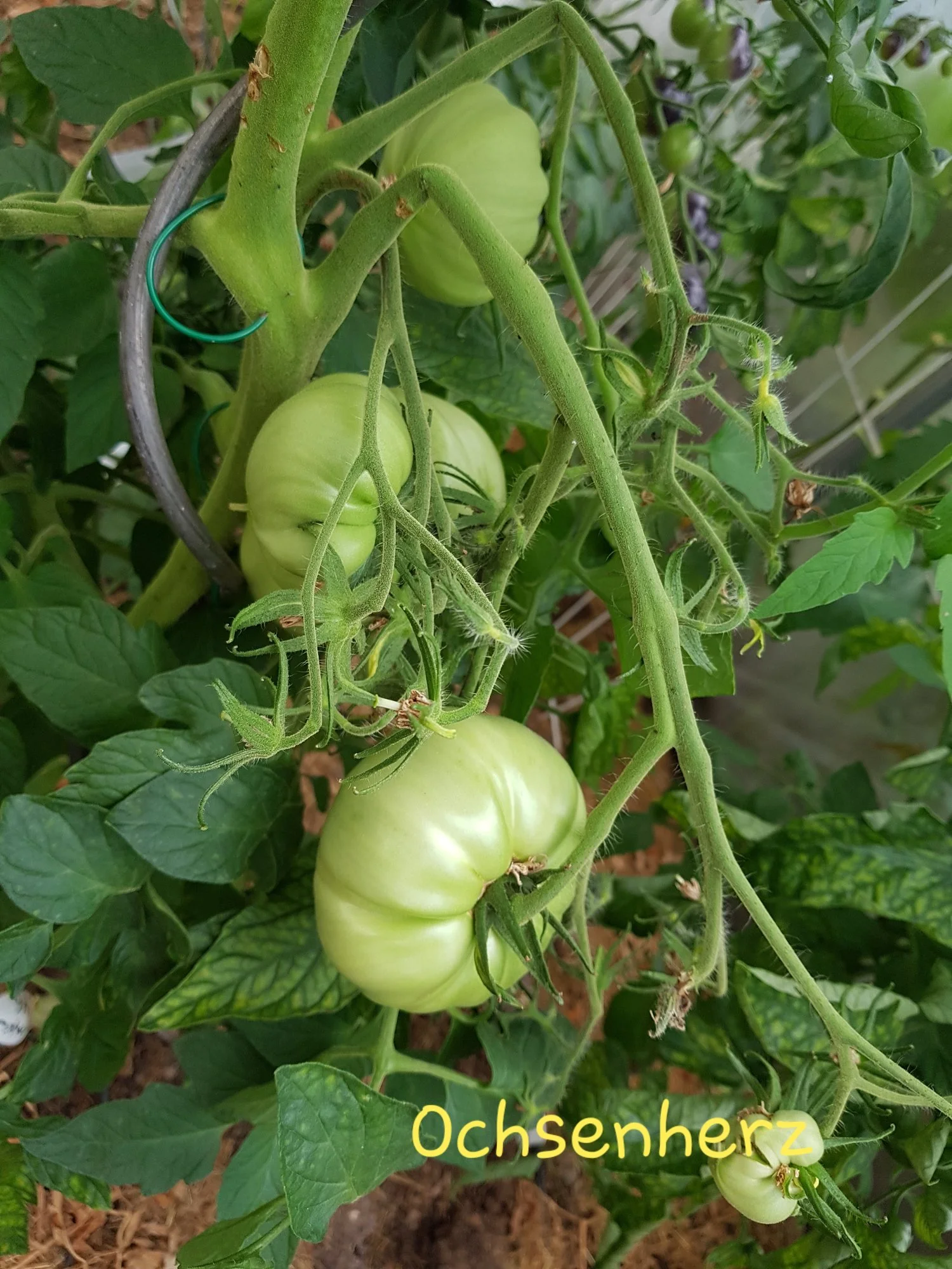 20190721_193439.webp