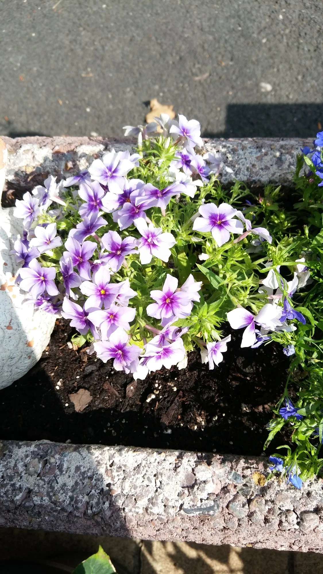 20190804_103347 groß.webp