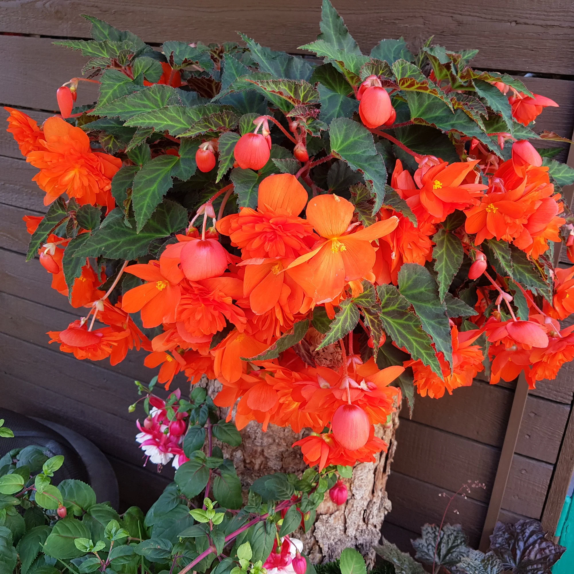 20190821_135936.webp