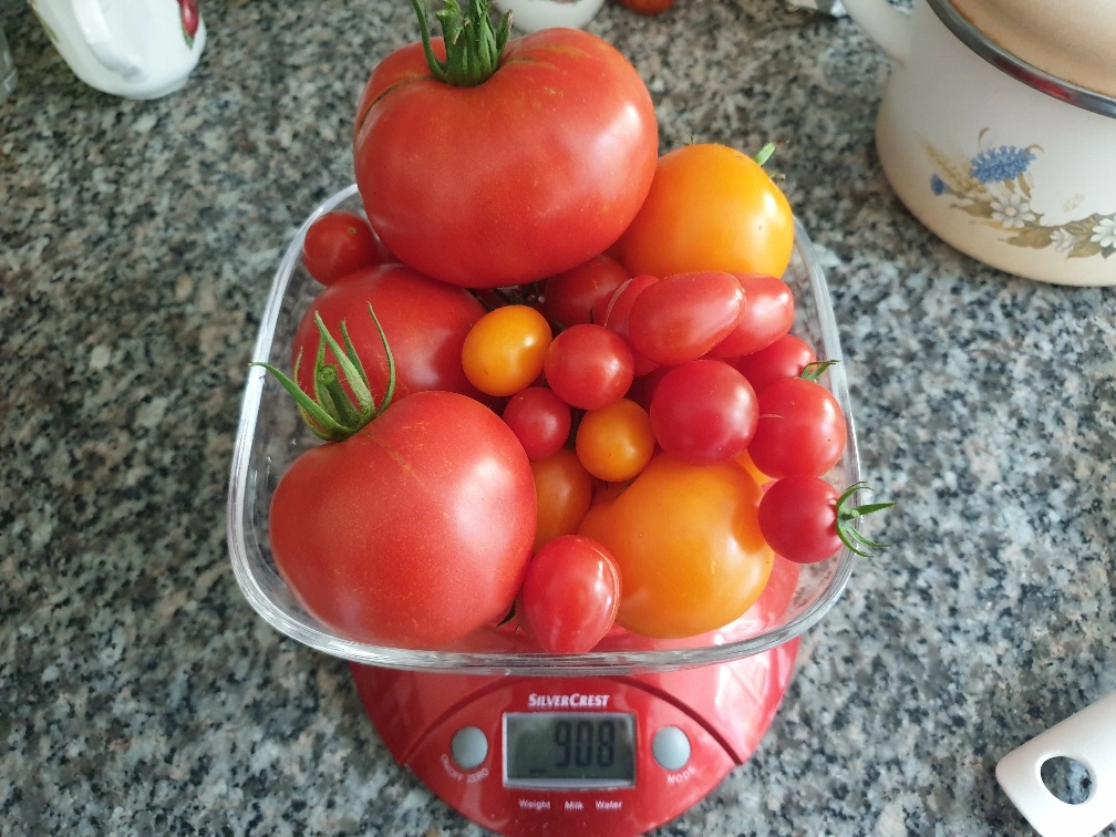 20190830_180100_resized.webp