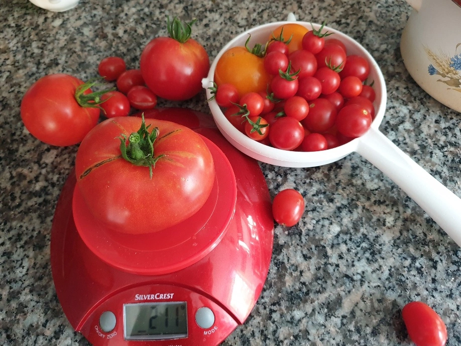 20190830_180547_resized.webp