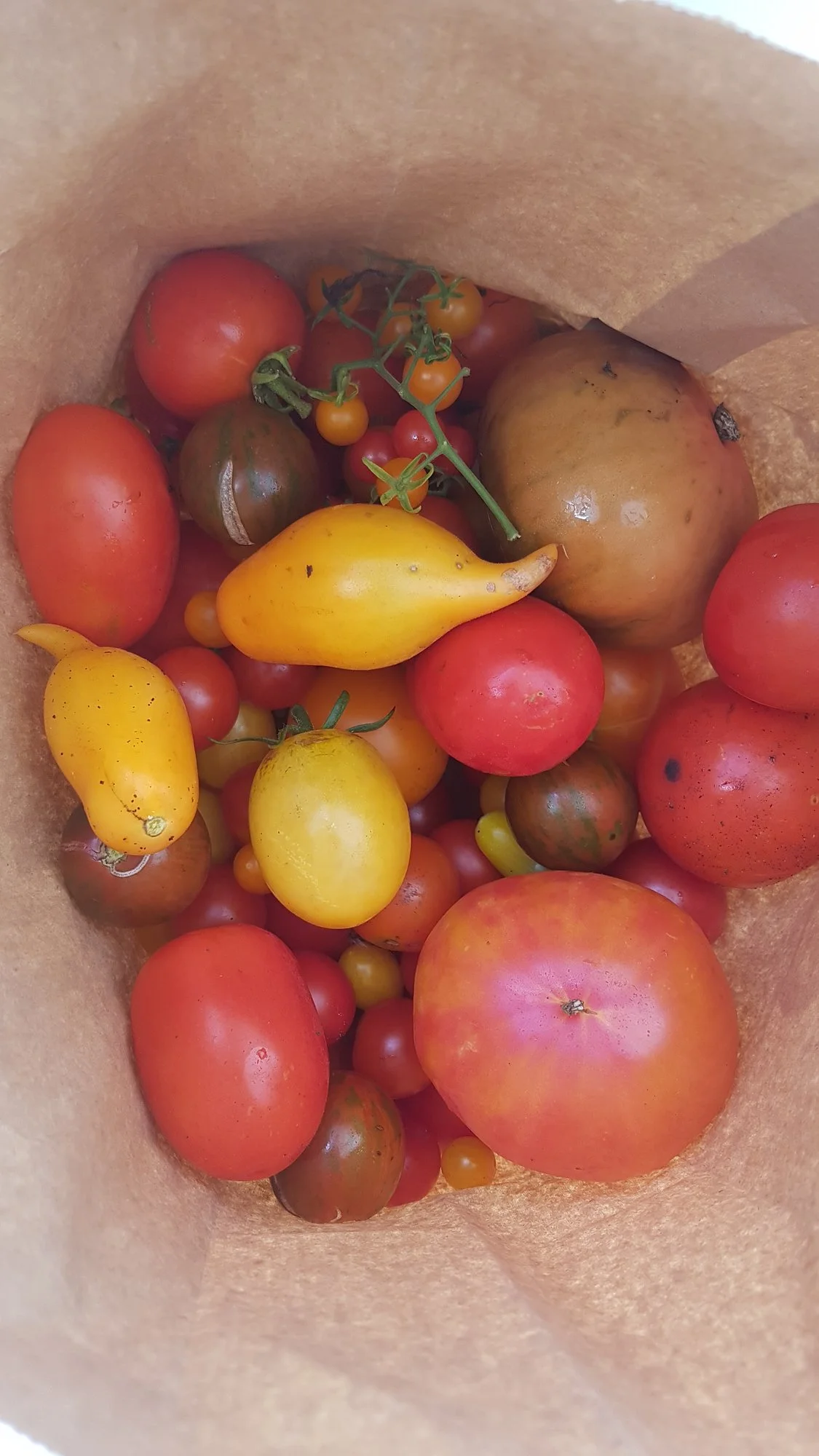 20190914_091152.webp