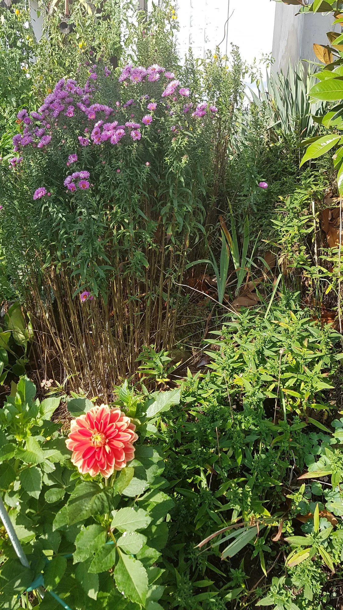 20190914_091613.webp