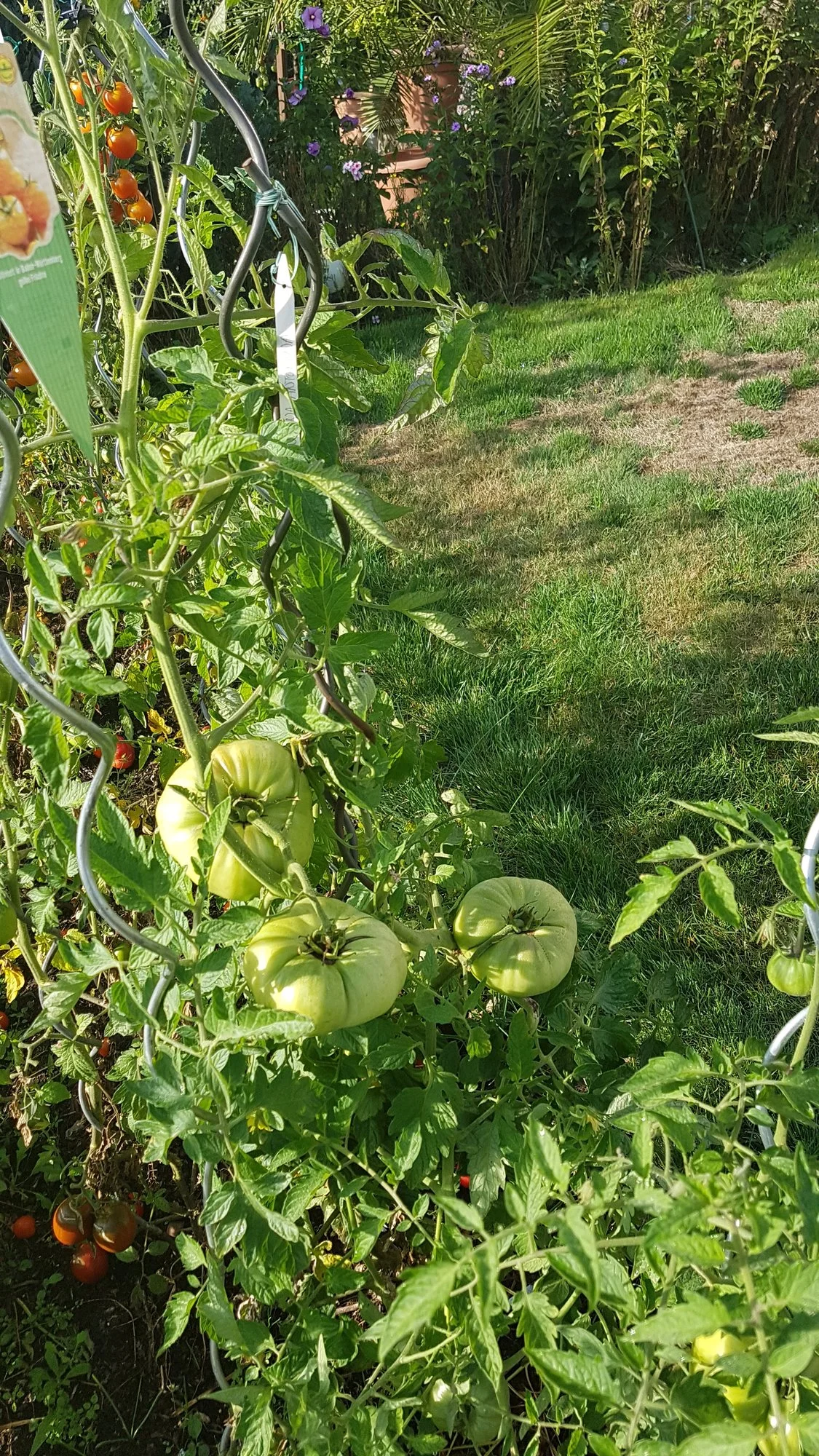 20190914_091709.webp
