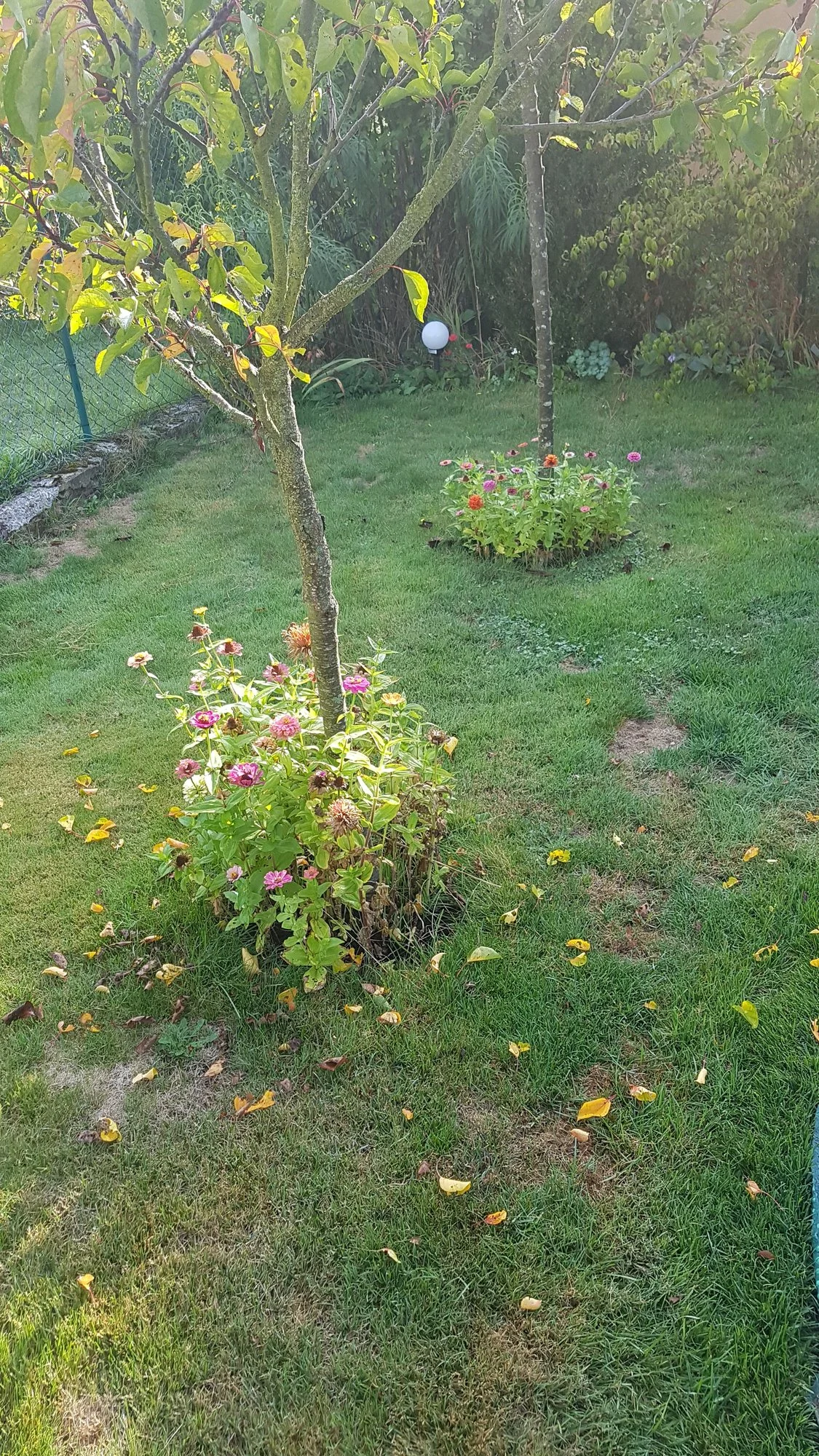 20190914_091728.webp