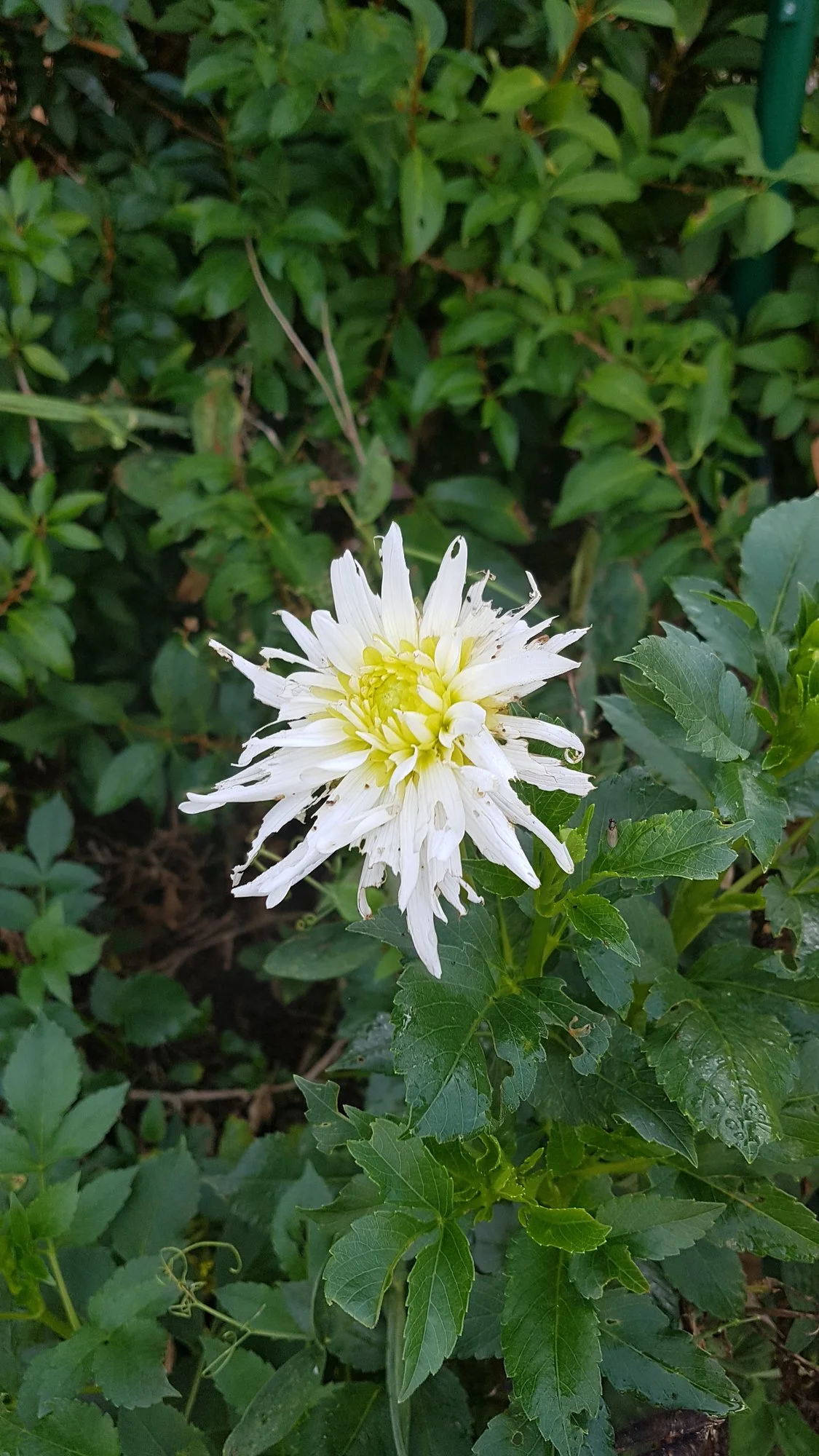 20190914_091745.webp