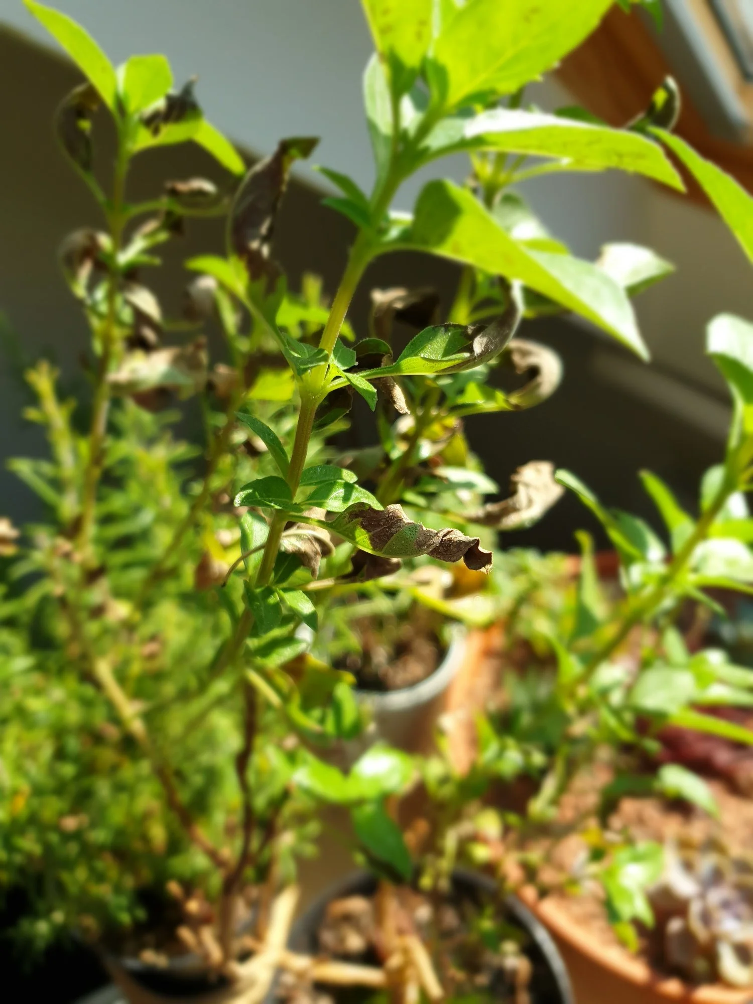 20190914_131403.webp