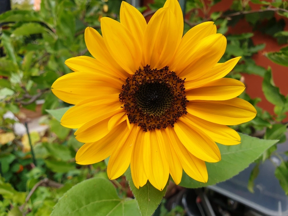 20190914_171742_resized.webp