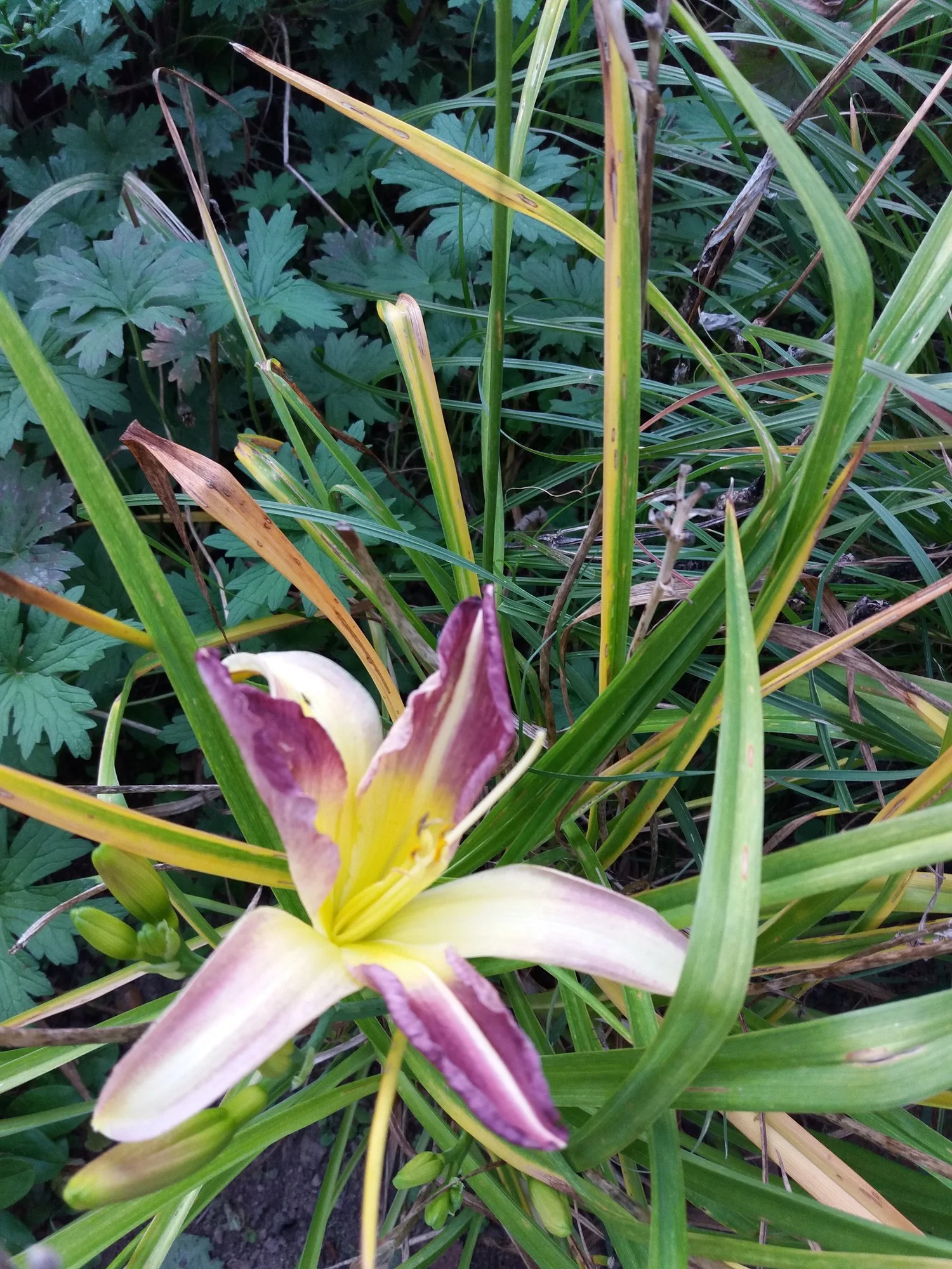 20190914_190328.webp