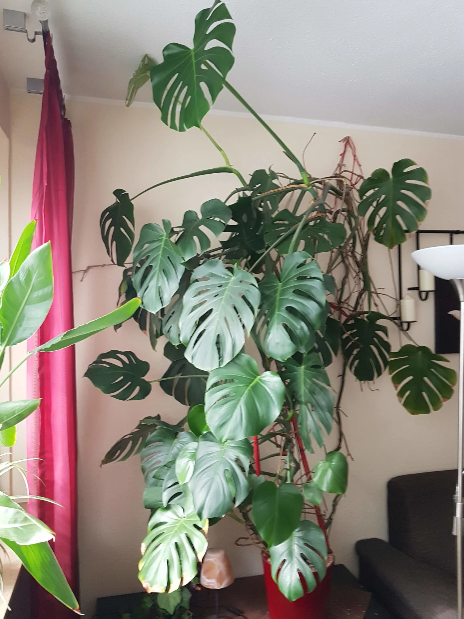 20190917_160150.webp