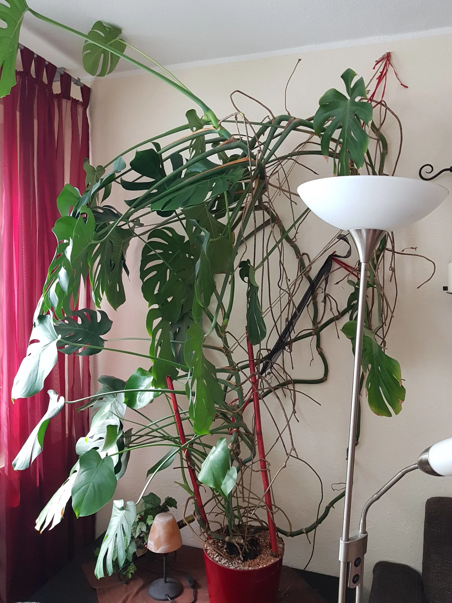 20190917_160205.webp