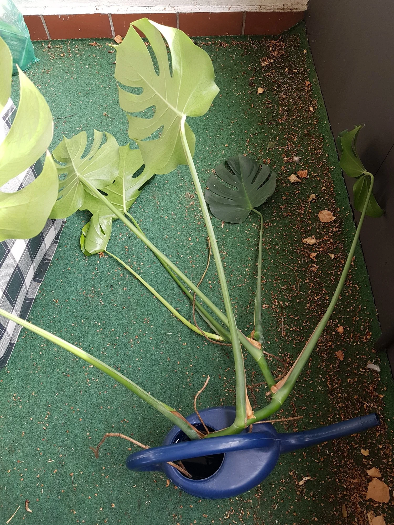 20190917_160242.webp