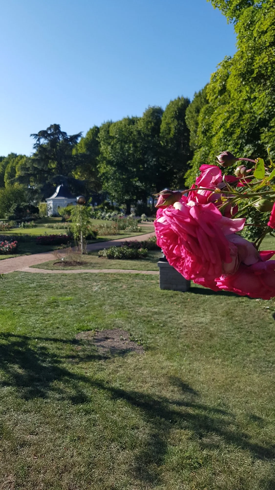 20190921_164352.webp