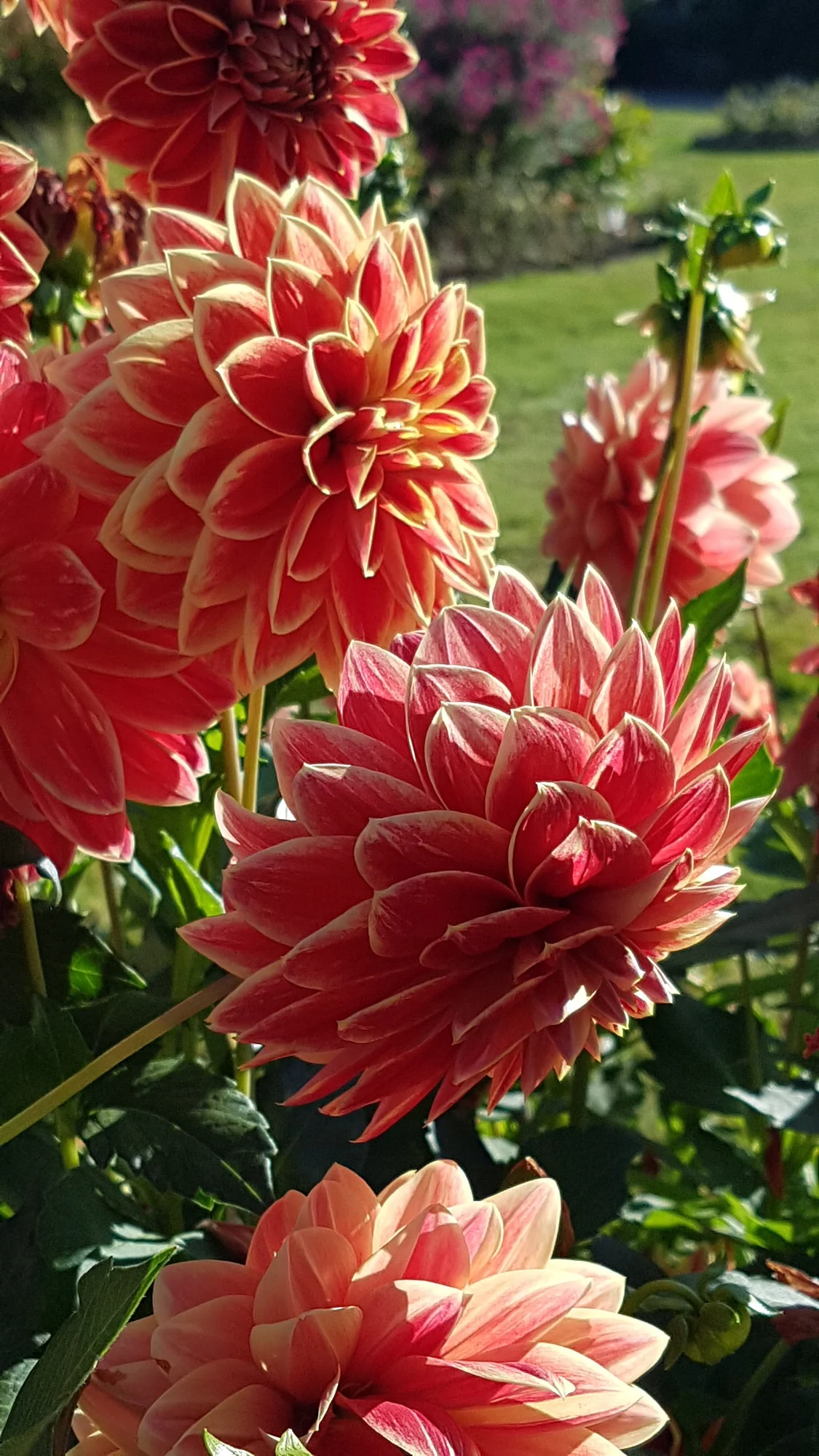 20190921_164532.webp