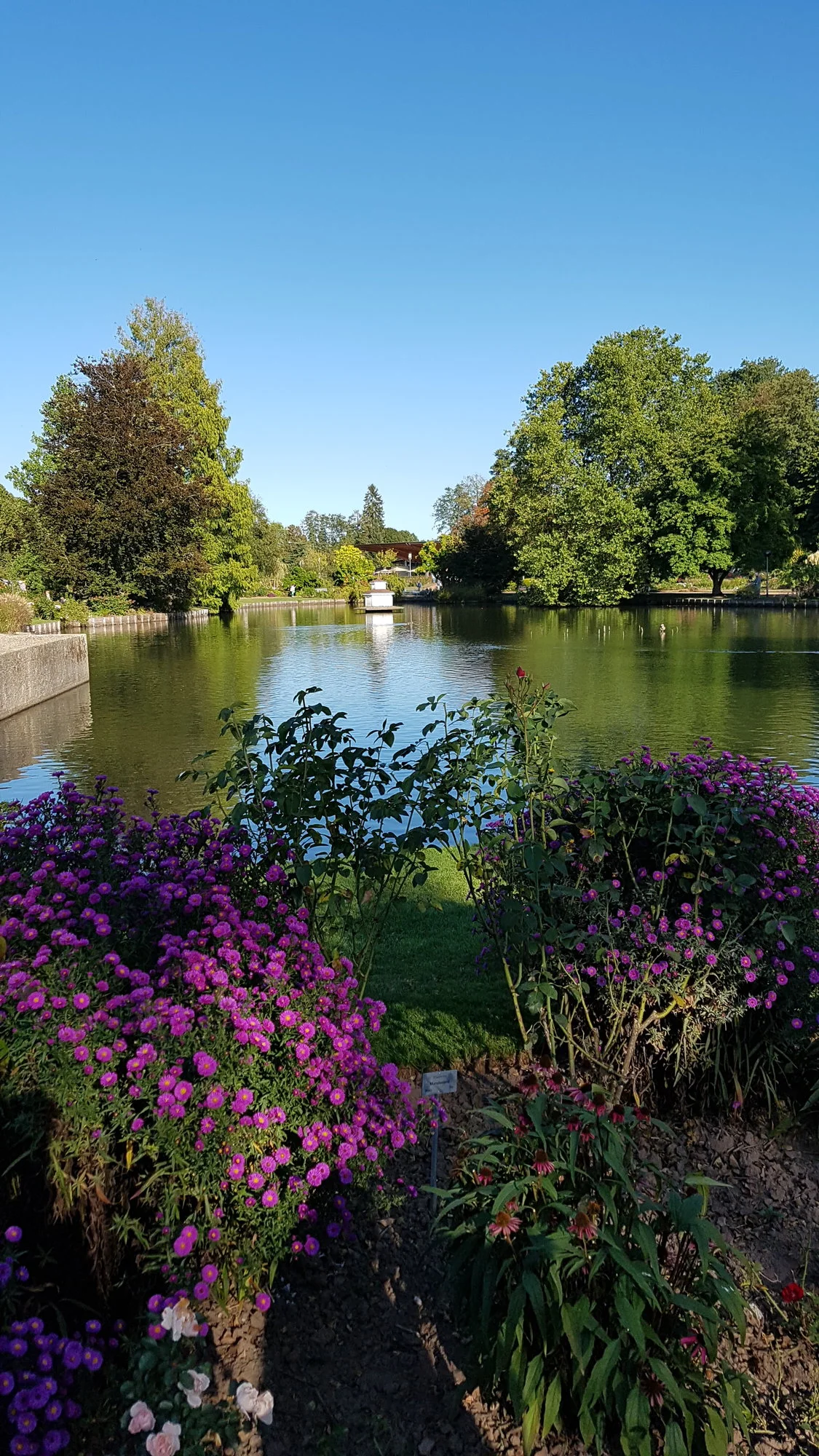 20190921_164954.webp