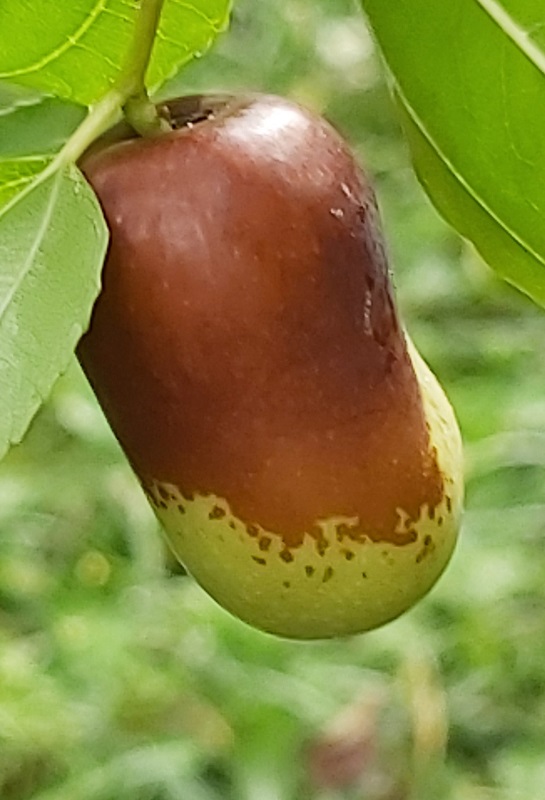 20190924_101410.jpg