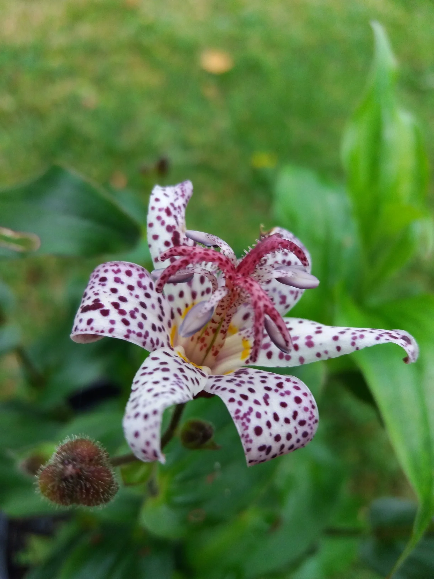 20190924_180013.webp