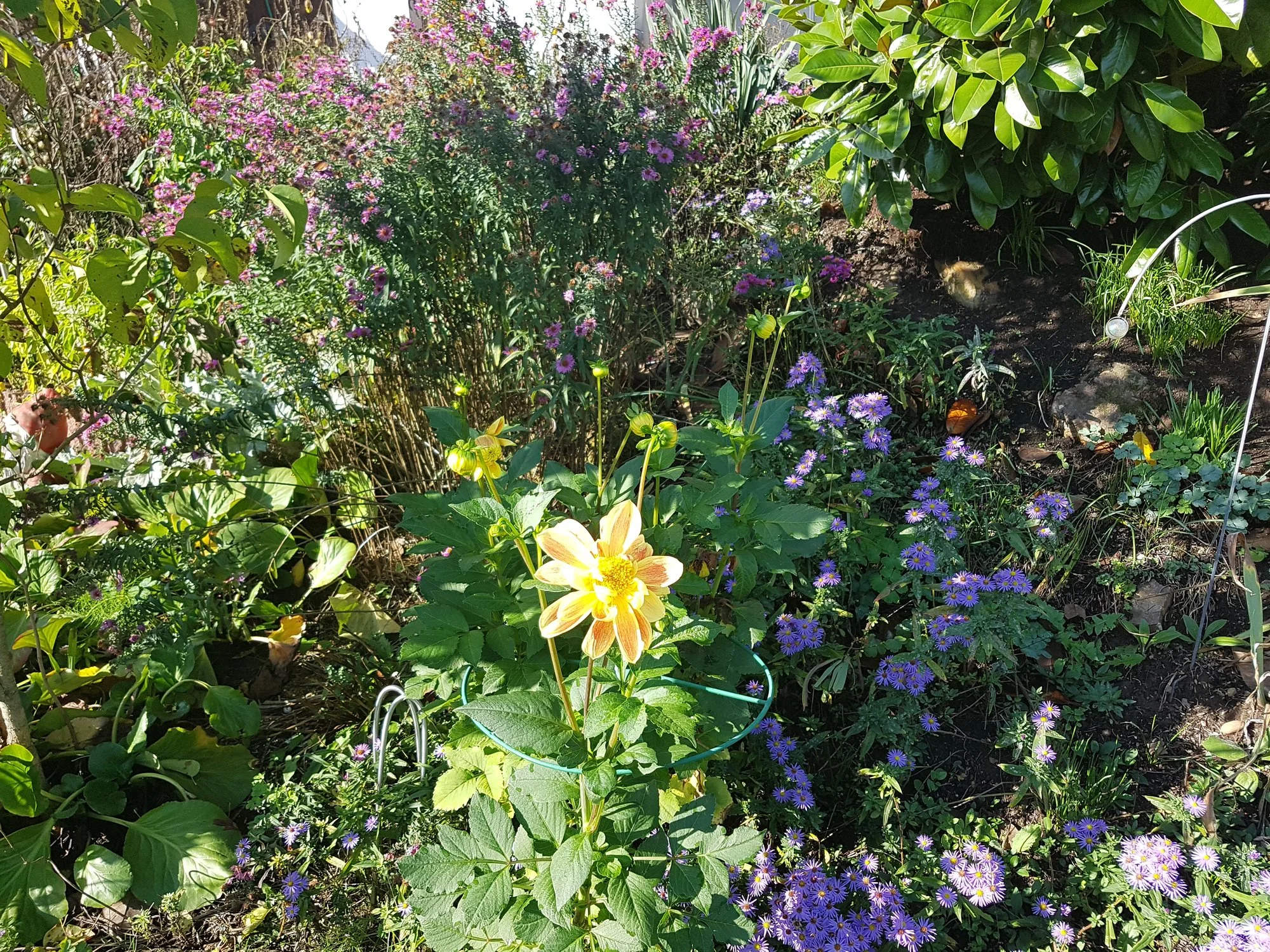 20191014_110346.webp