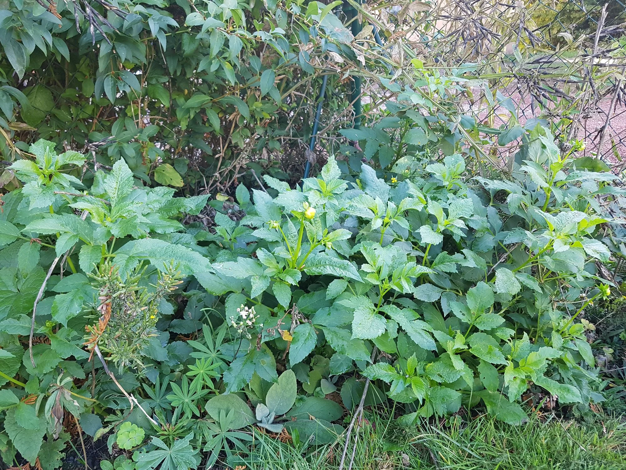 20191014_110445.webp