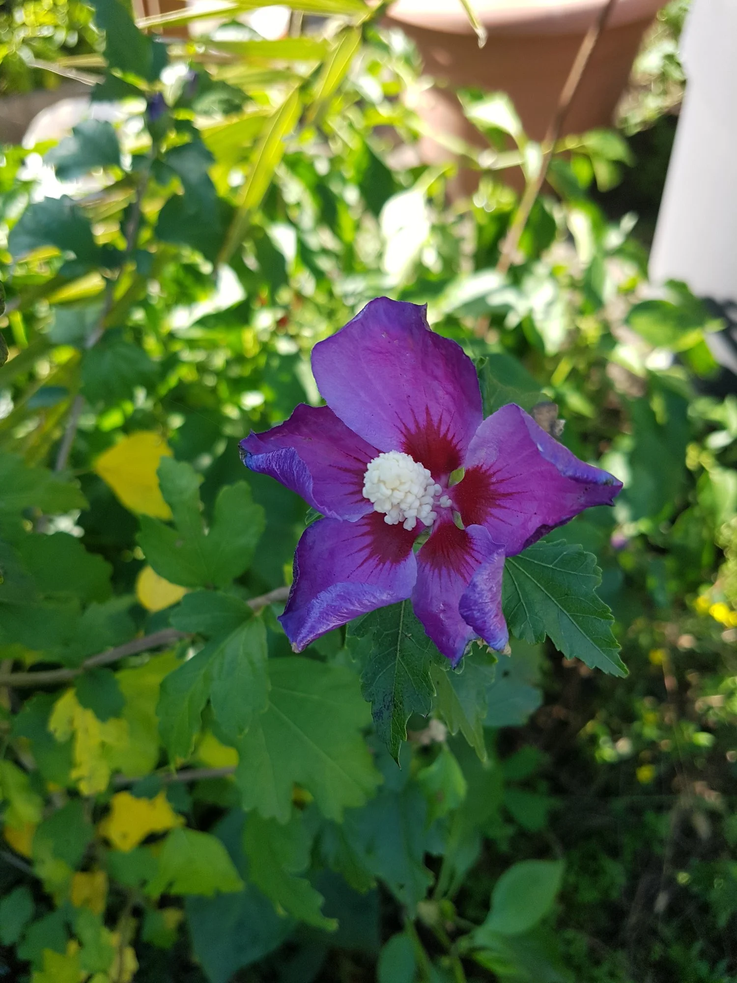 20191014_110614.webp