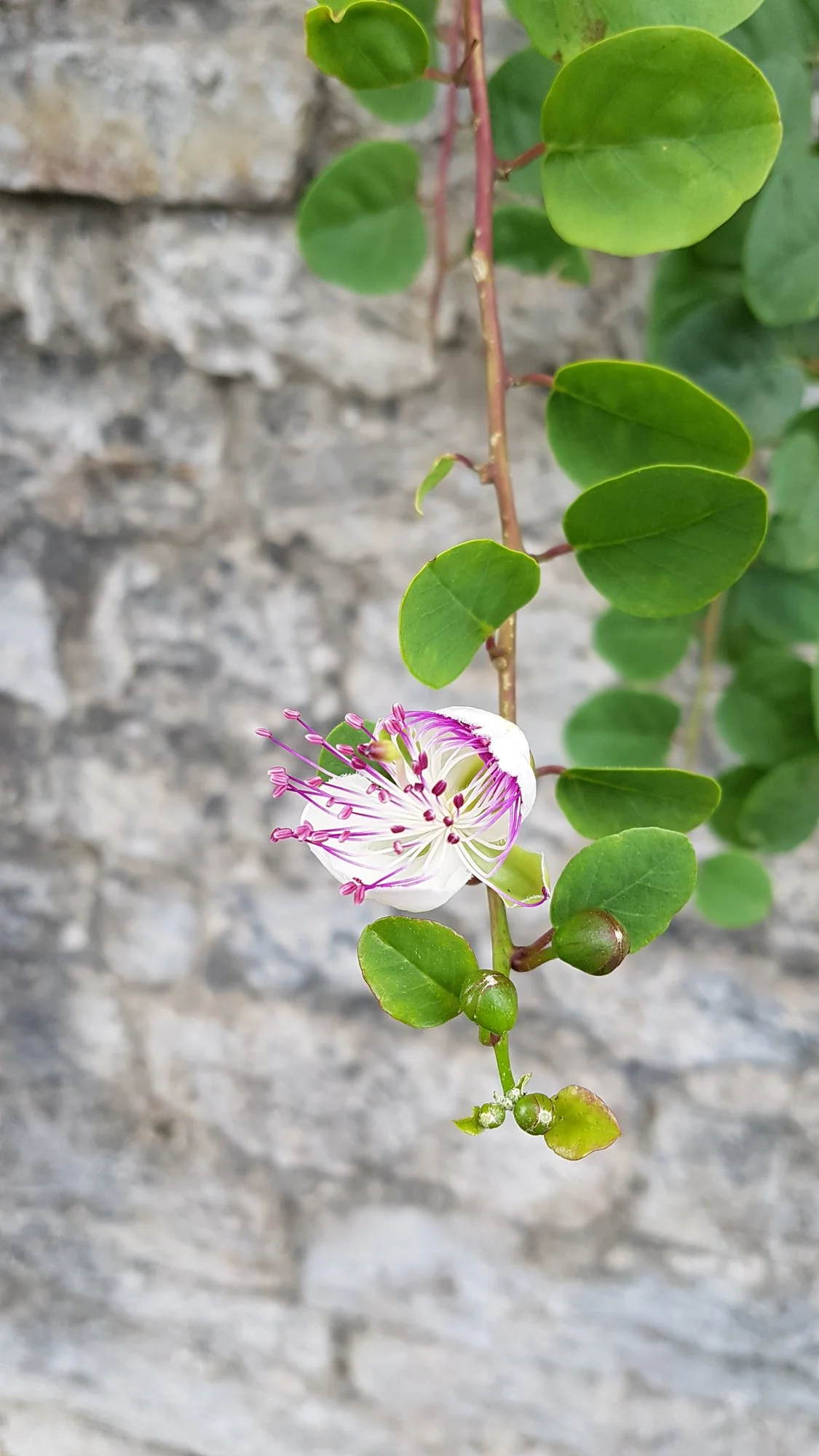 20191019_122245.webp