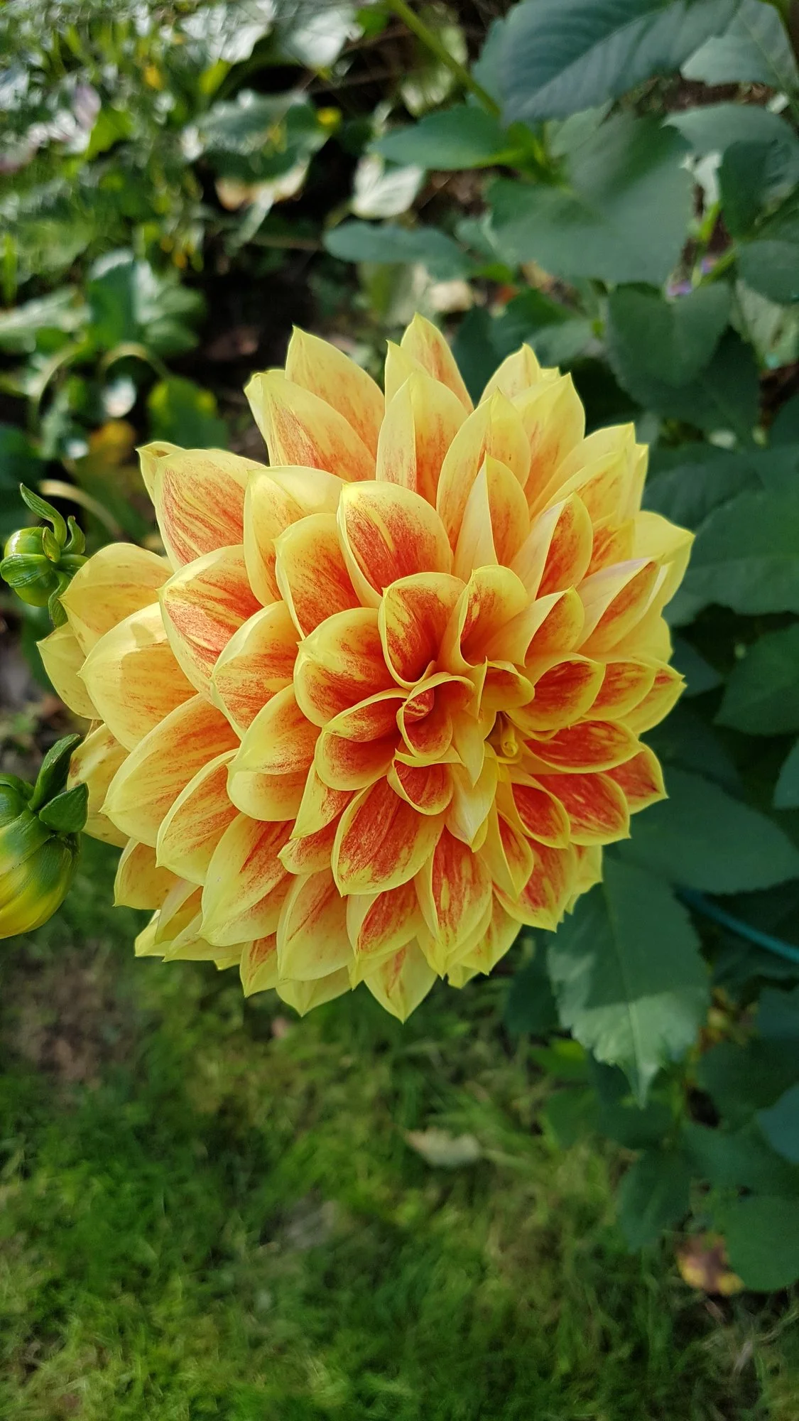20191024_133627.webp