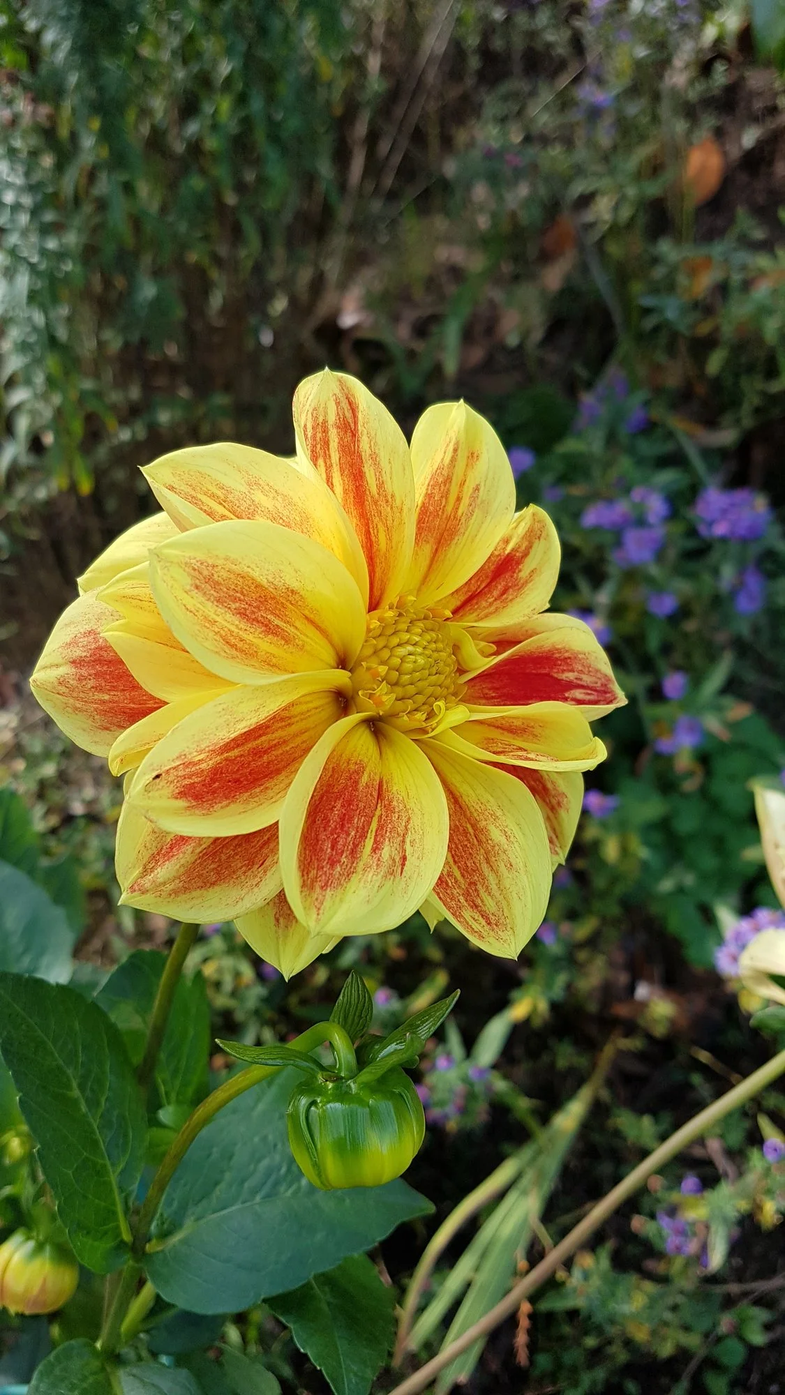 20191024_133635.webp