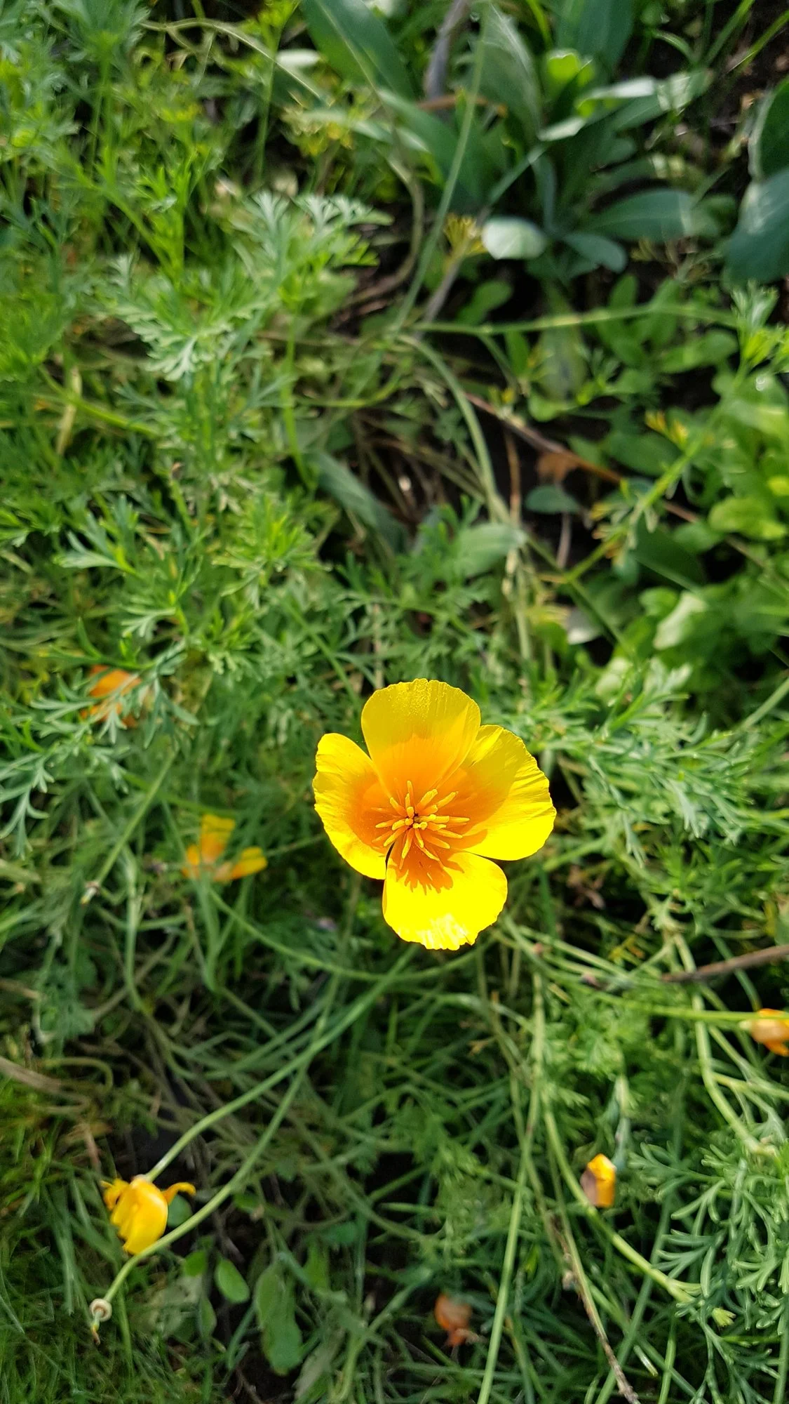 20191024_133703.webp