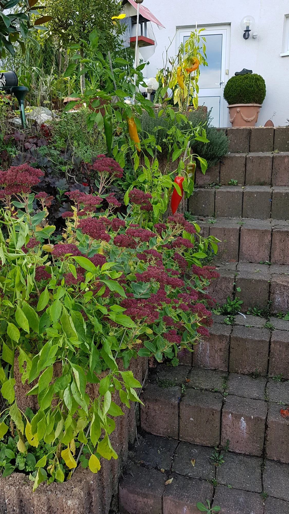 20191024_133714.webp