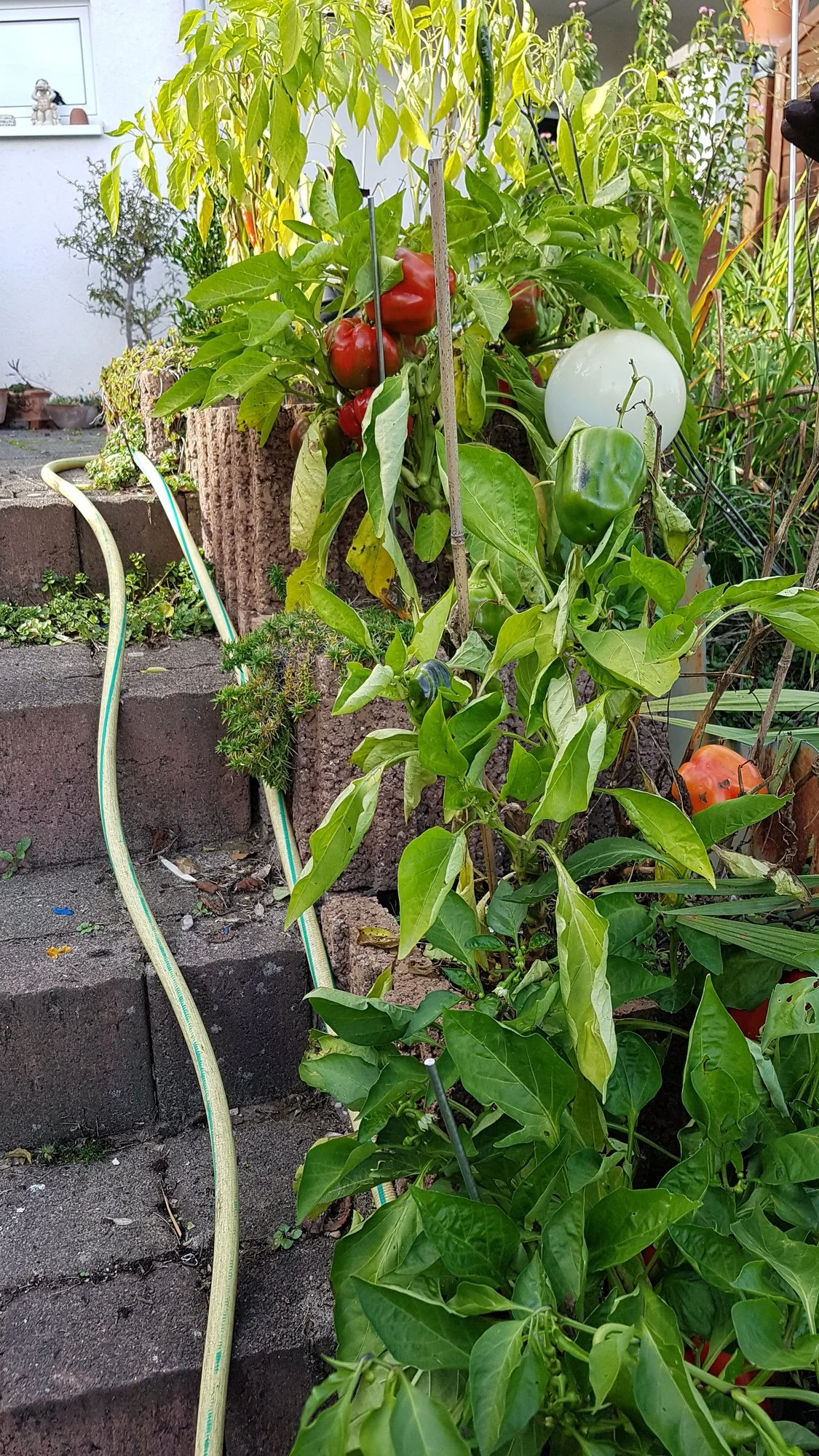 20191024_133721.webp