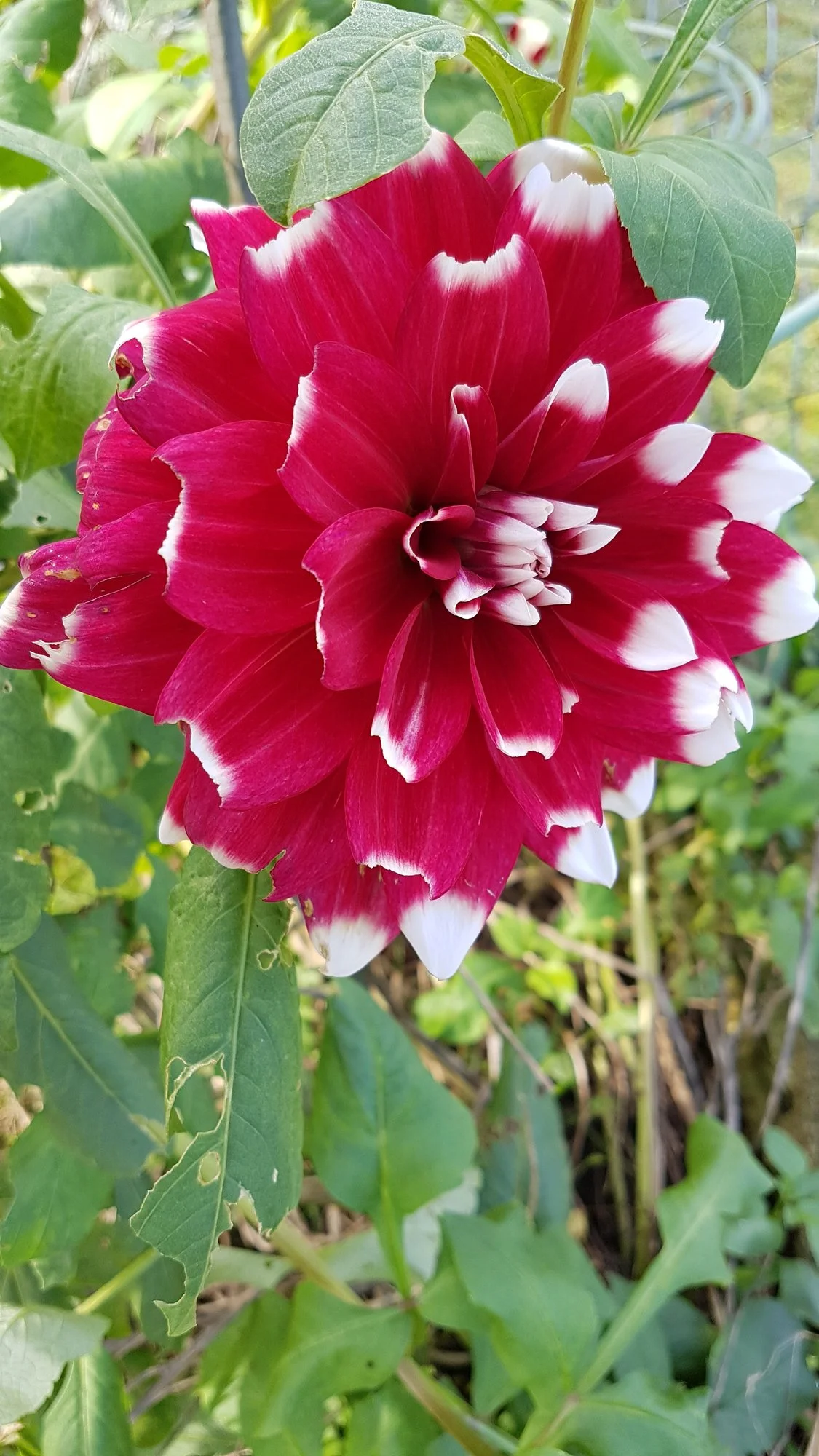 20191024_133749.webp