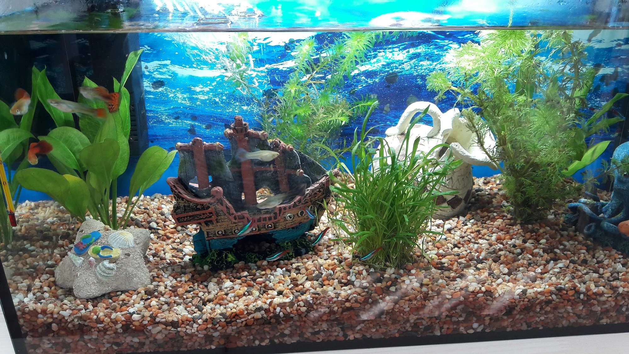 20200319_104259  50%.webp