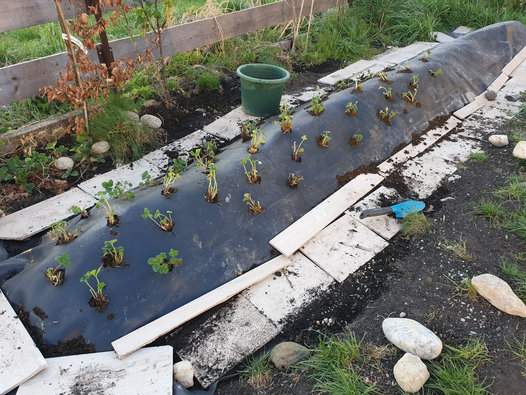 50+ Hügelbeet Mit Teich, Ein hügelbeet bringt vorteile, denn in