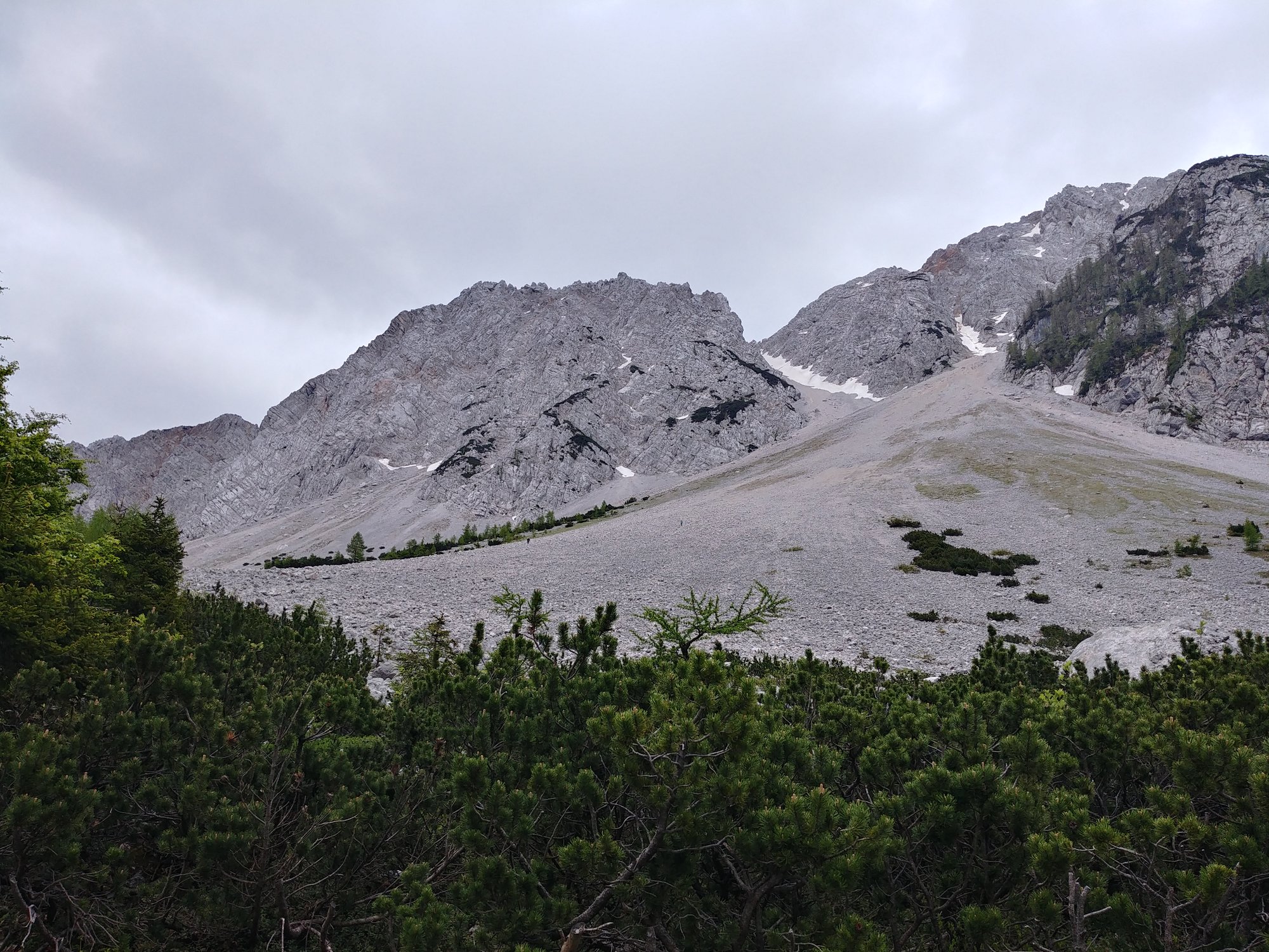 20200531_153947_HDR.jpg