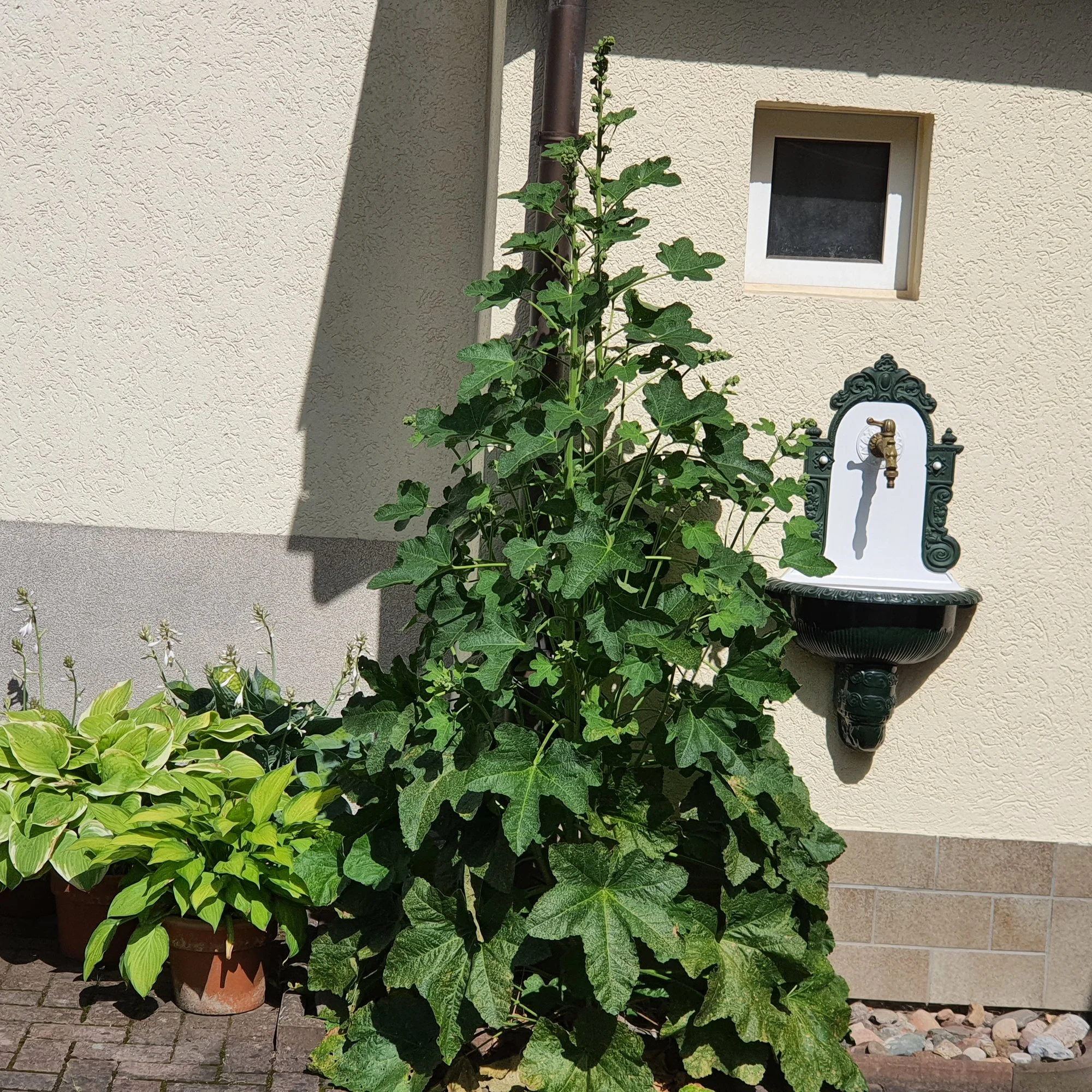 20200702_161746.webp