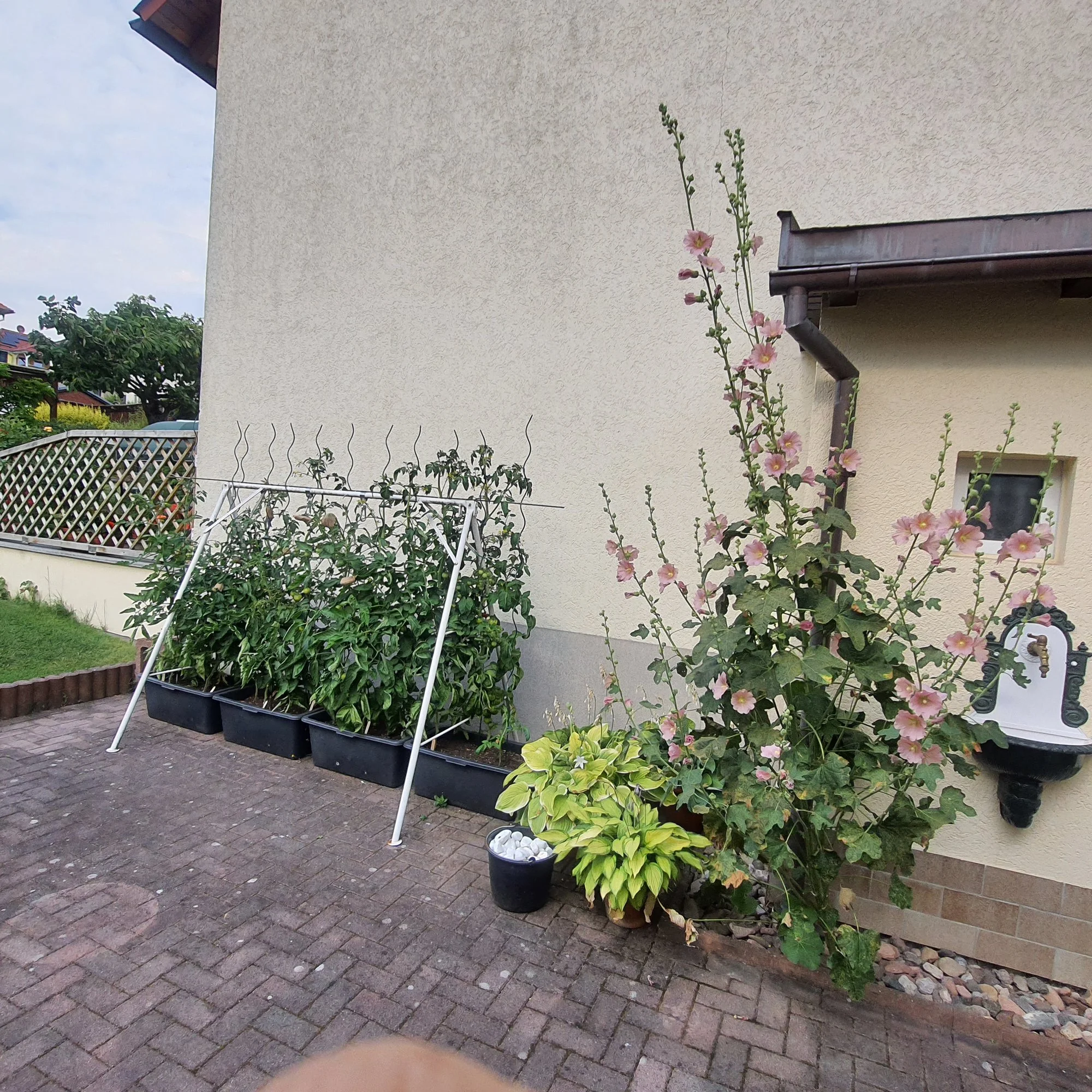 20200801_173651.webp