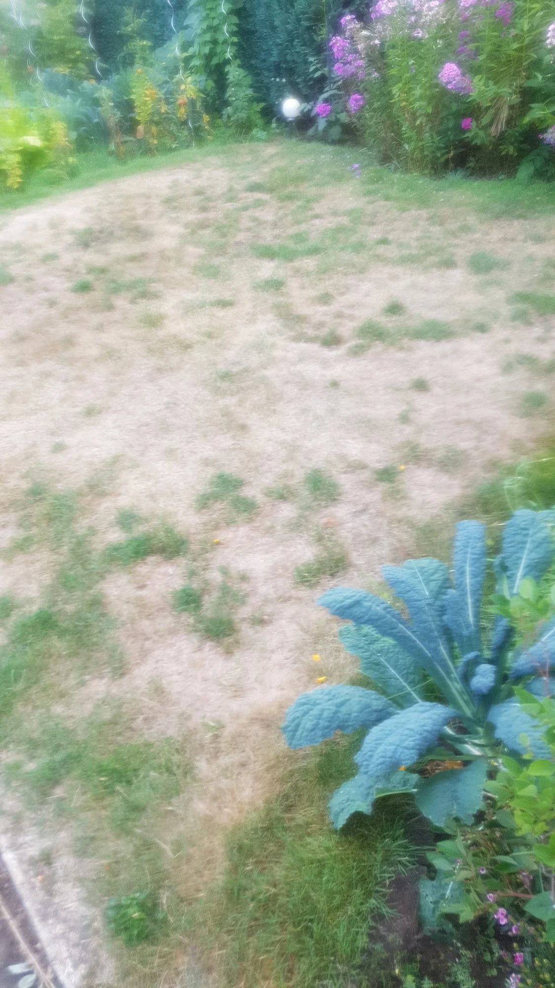 20200802_190606.webp