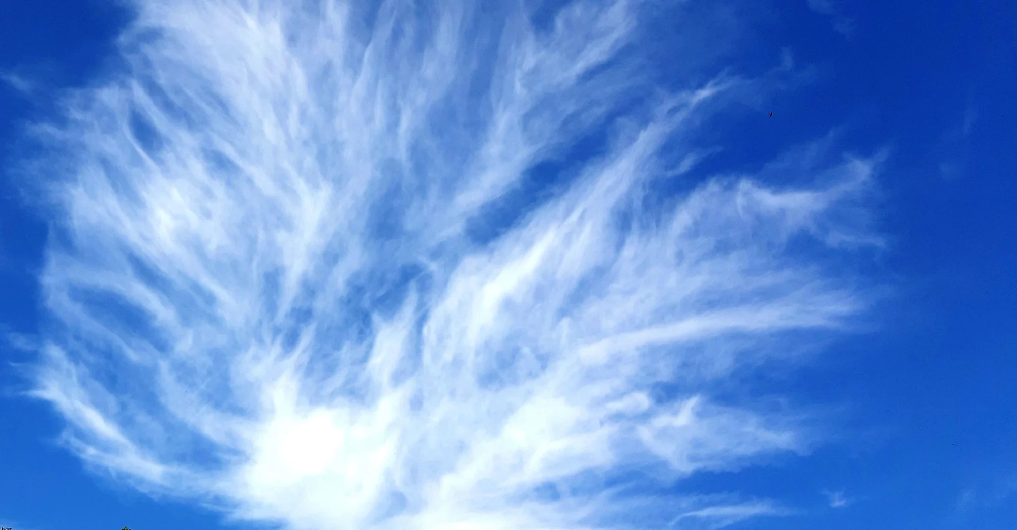 20200808_102228.webp
