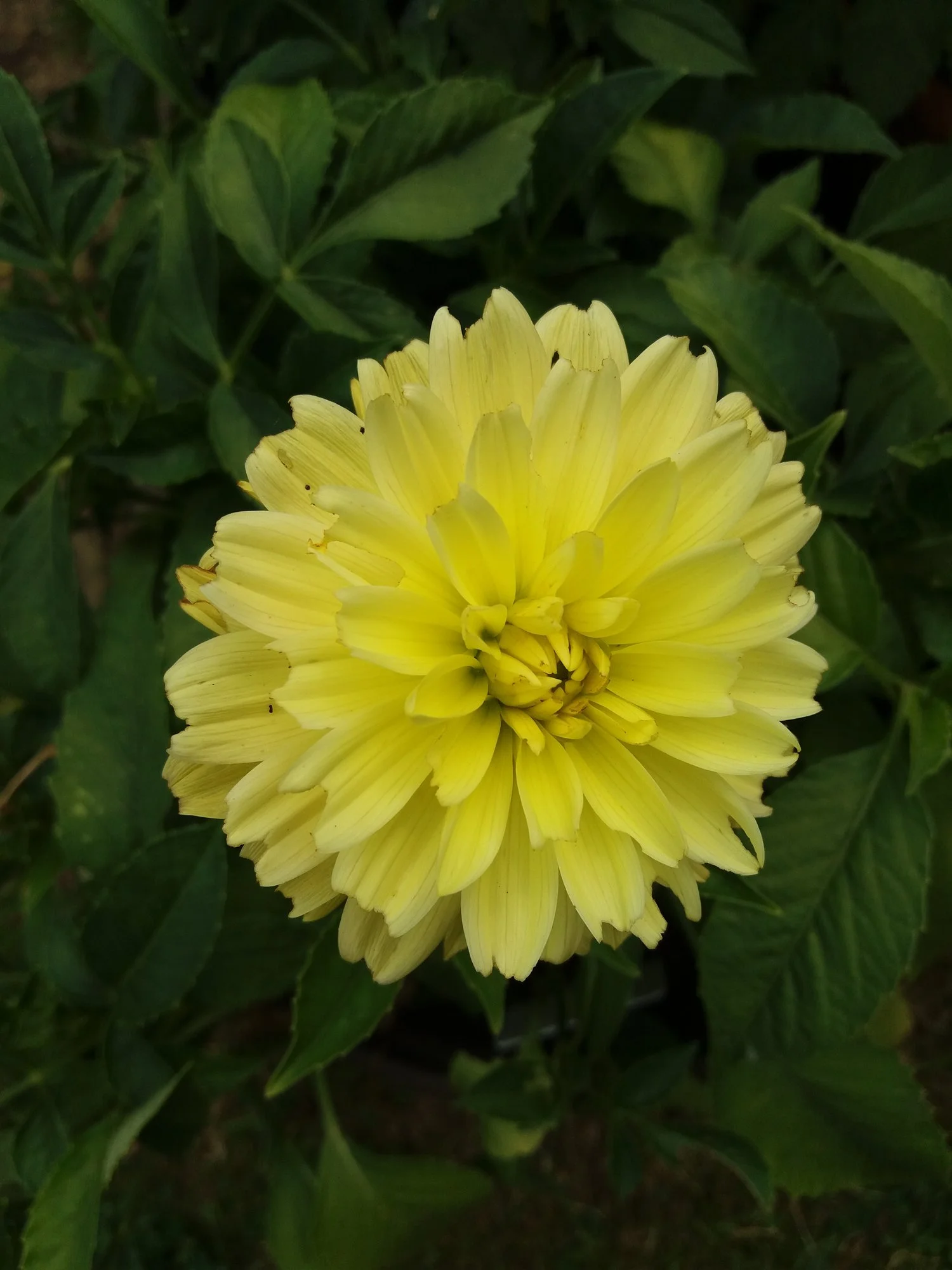 20200809_130409.webp