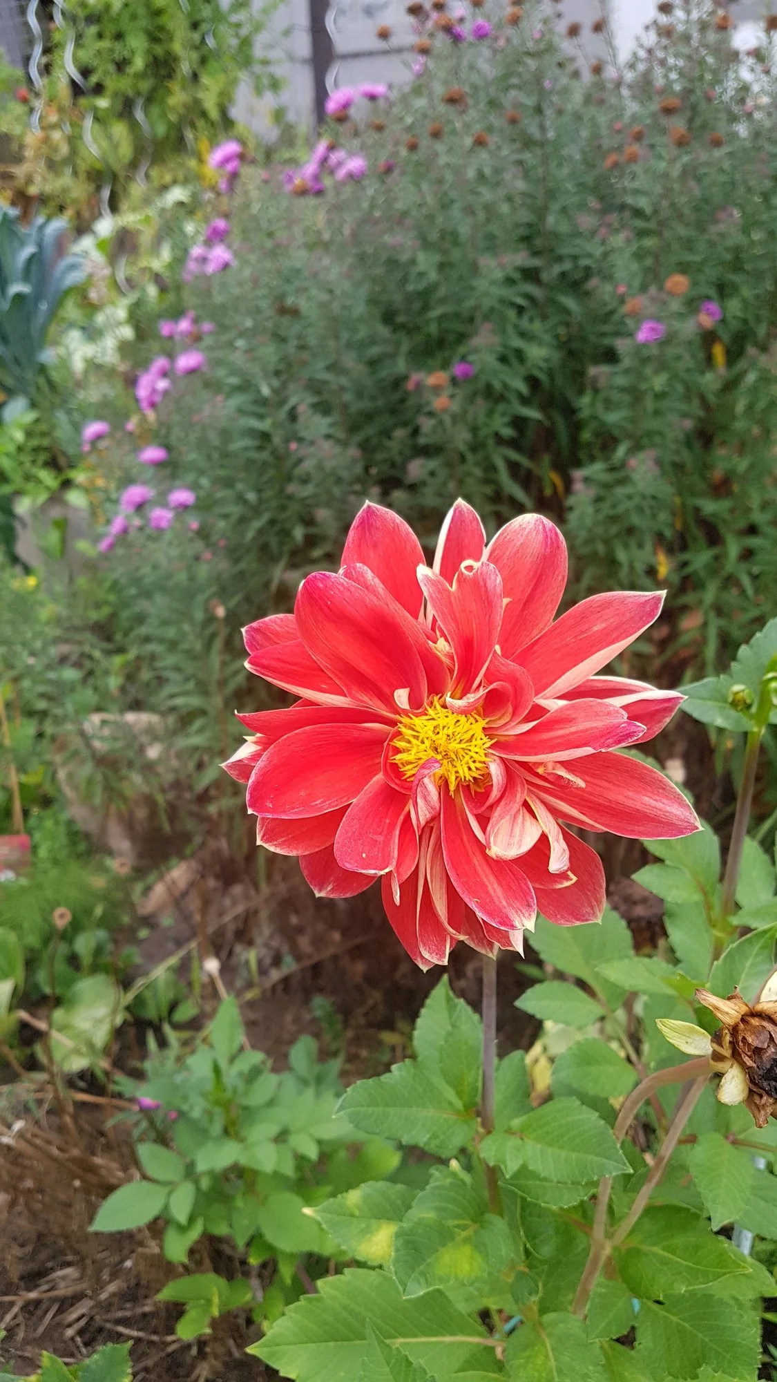 20200905_171942.webp