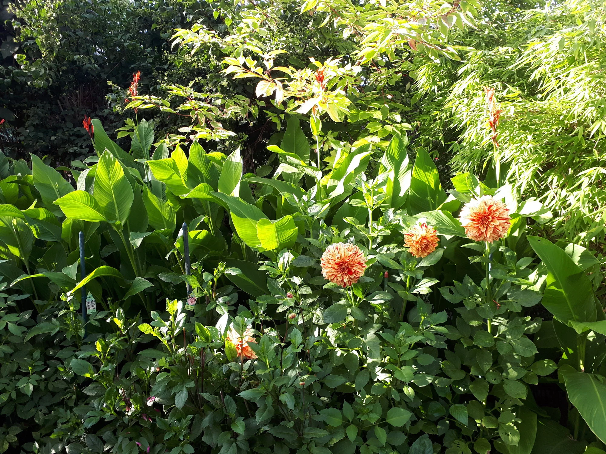 20200906_173921.webp