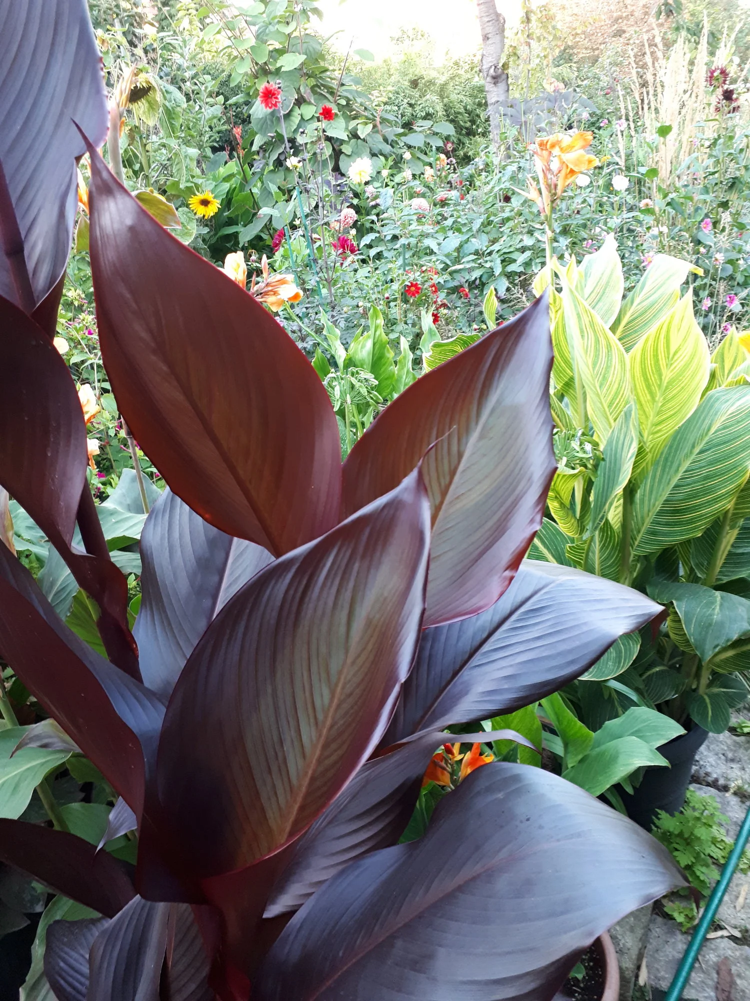 20200907_192207.webp