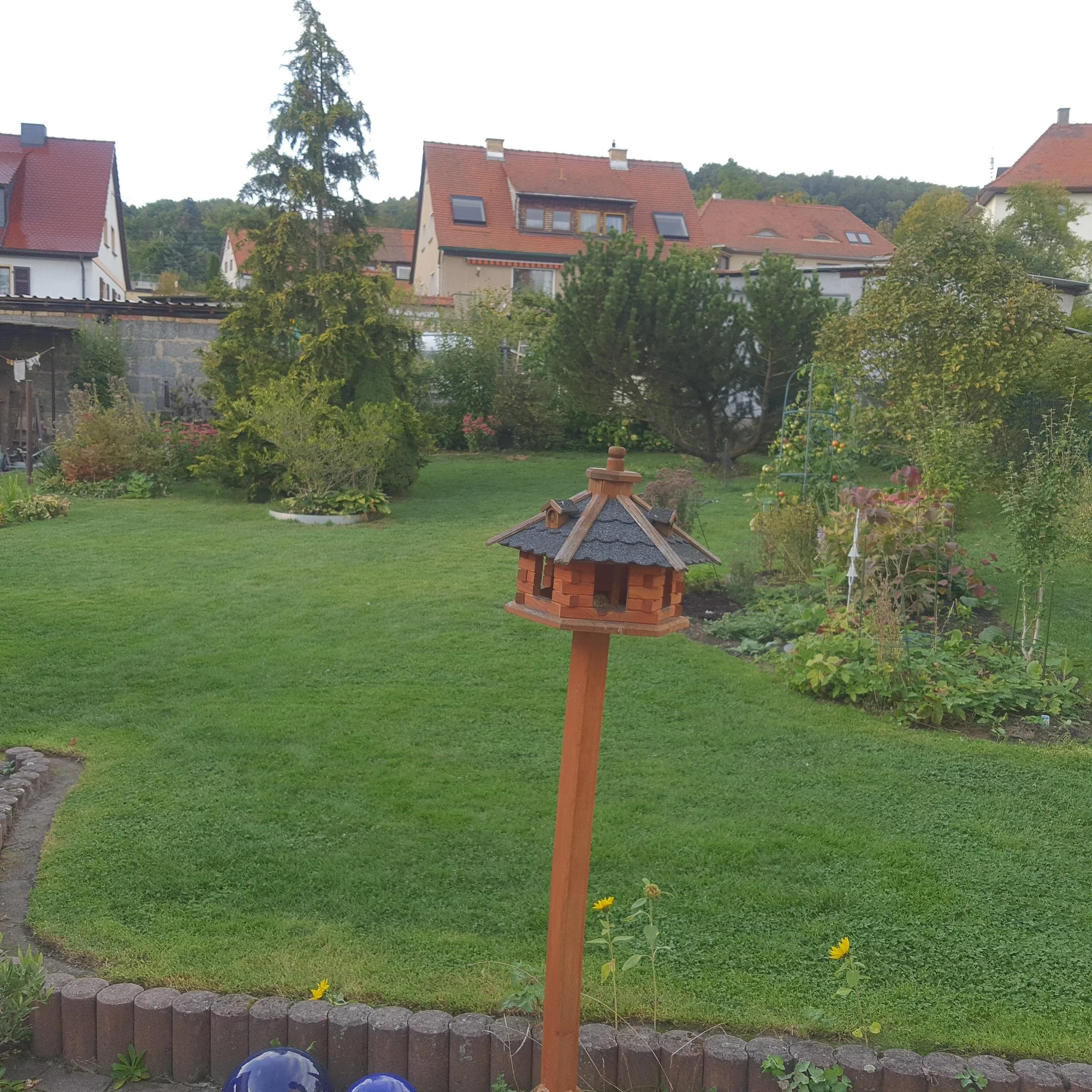 20201001_170838.jpg