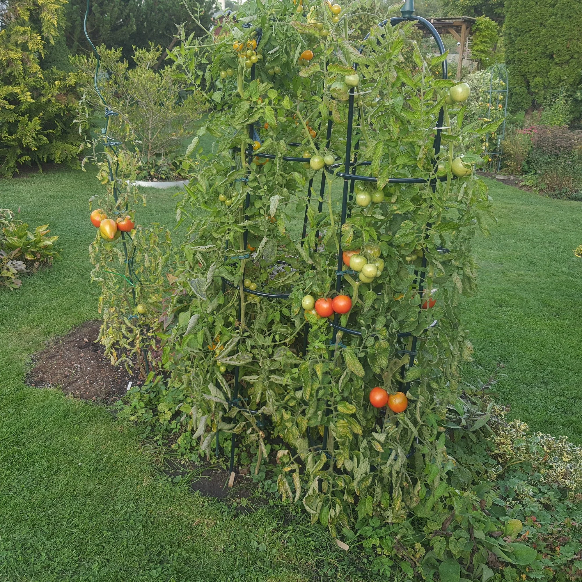 20201001_170952.webp
