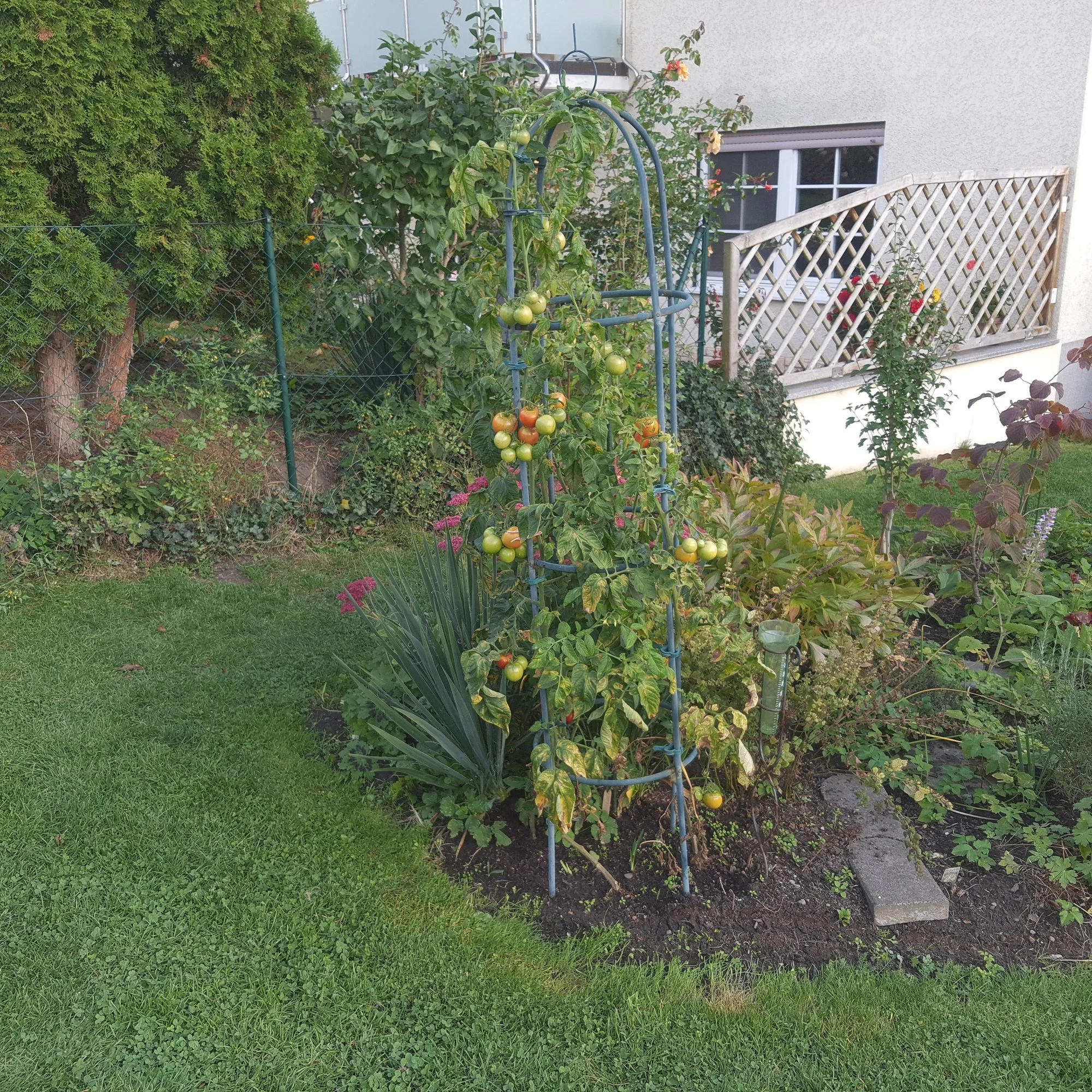 20201001_171108.webp