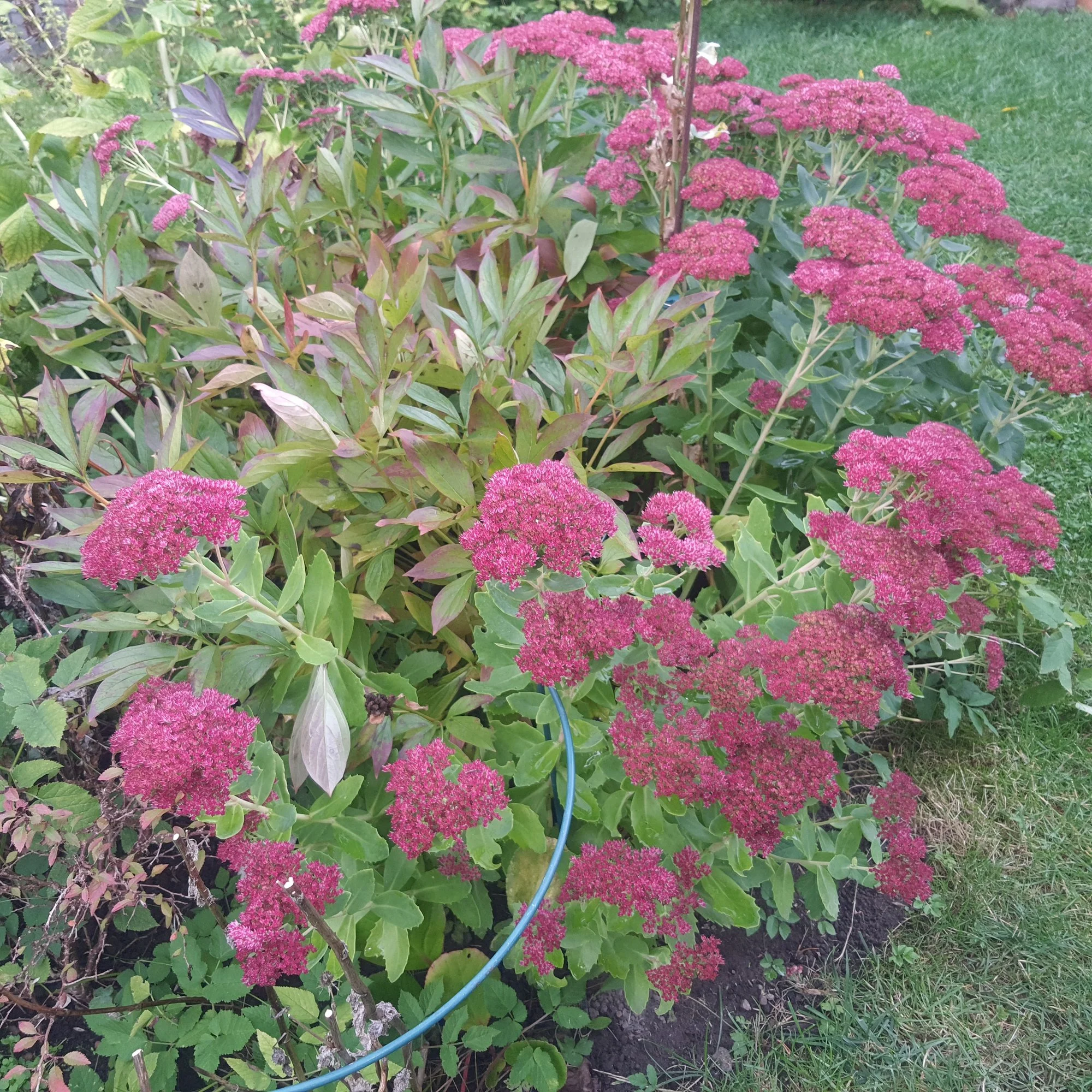 20201007_151231.jpg