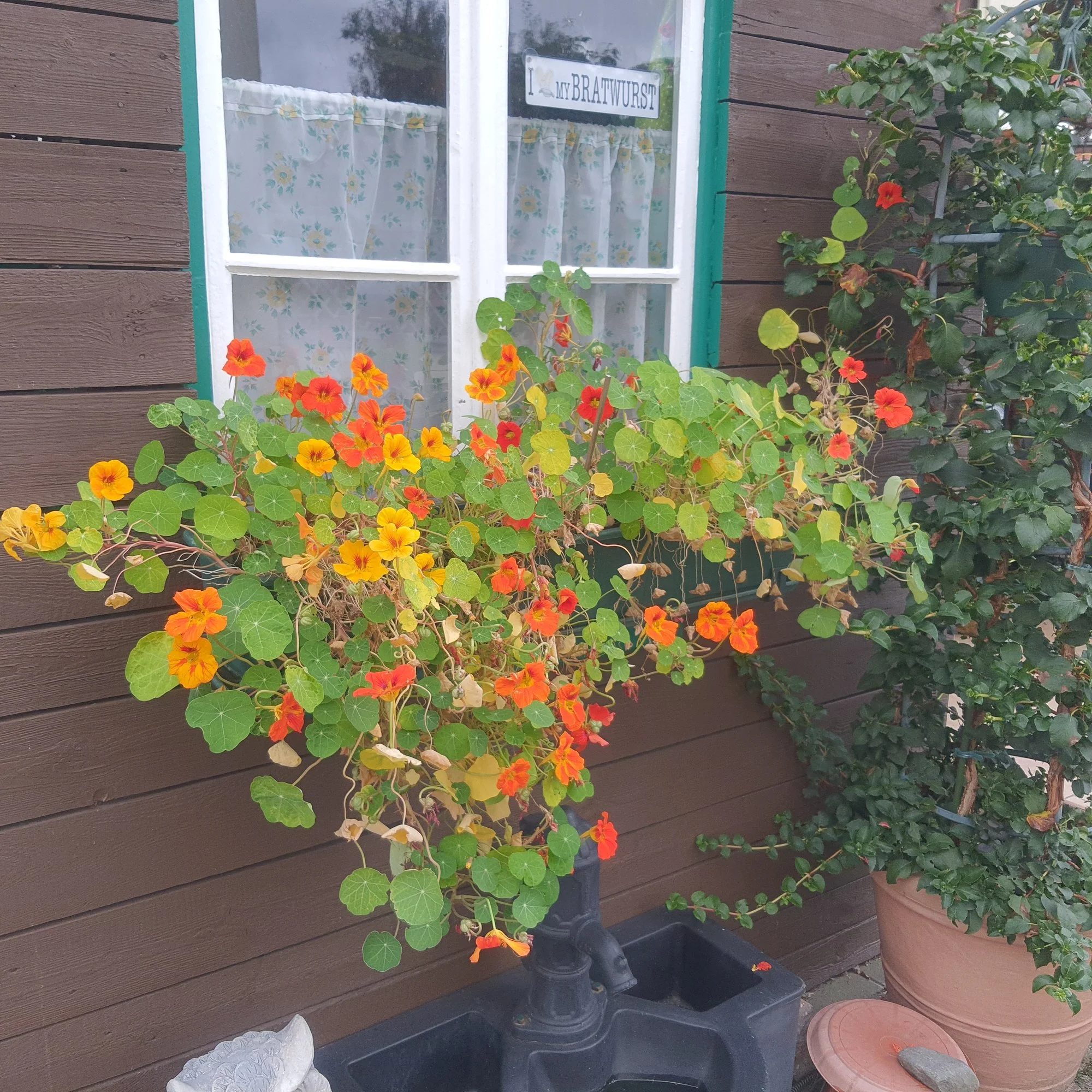 20201007_151356.jpg
