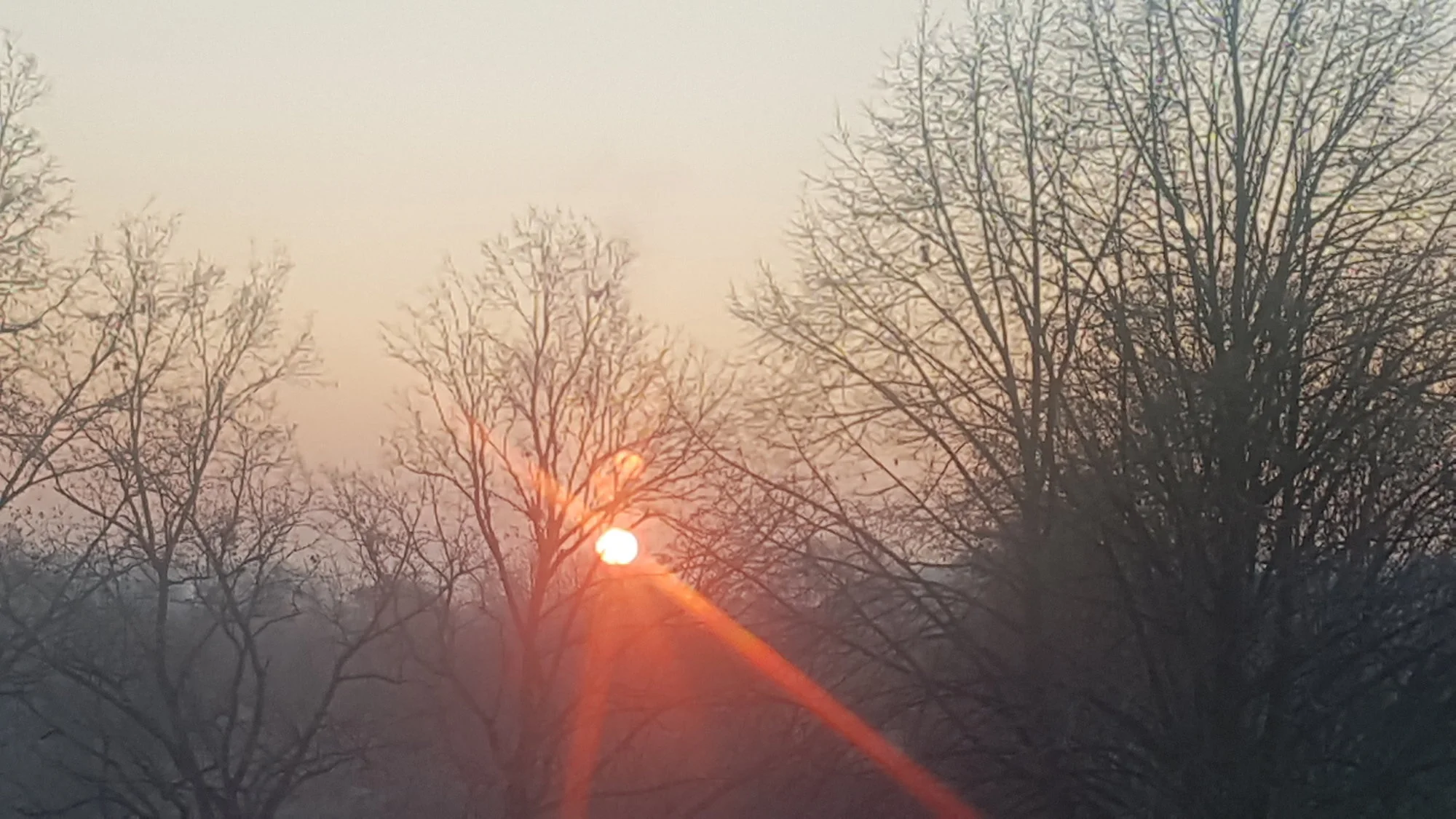 20201130_081505.webp