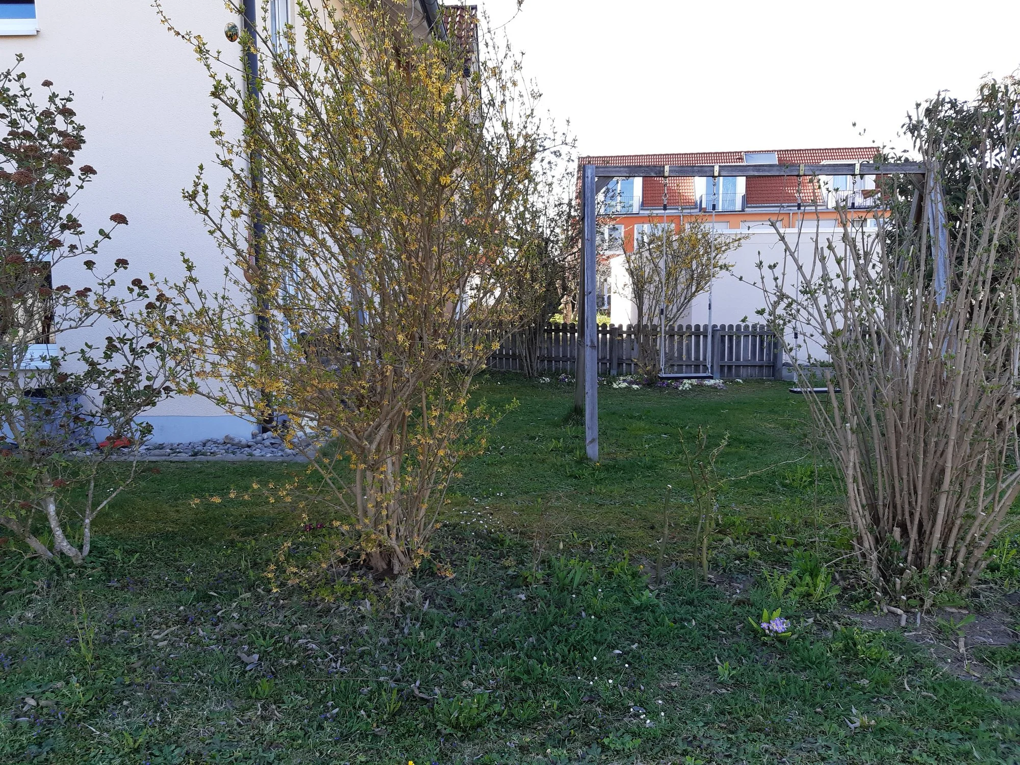 36+ Lücke In Hecke Füllen, Bei mittelgroßen lücken können sie