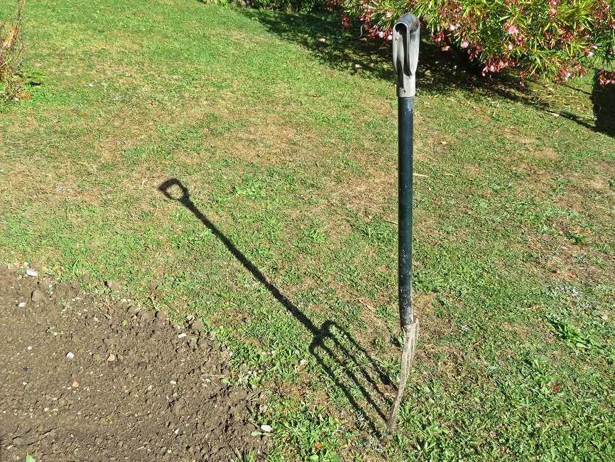 2021 March Shadows Sigrid (3) v - Copy.webp